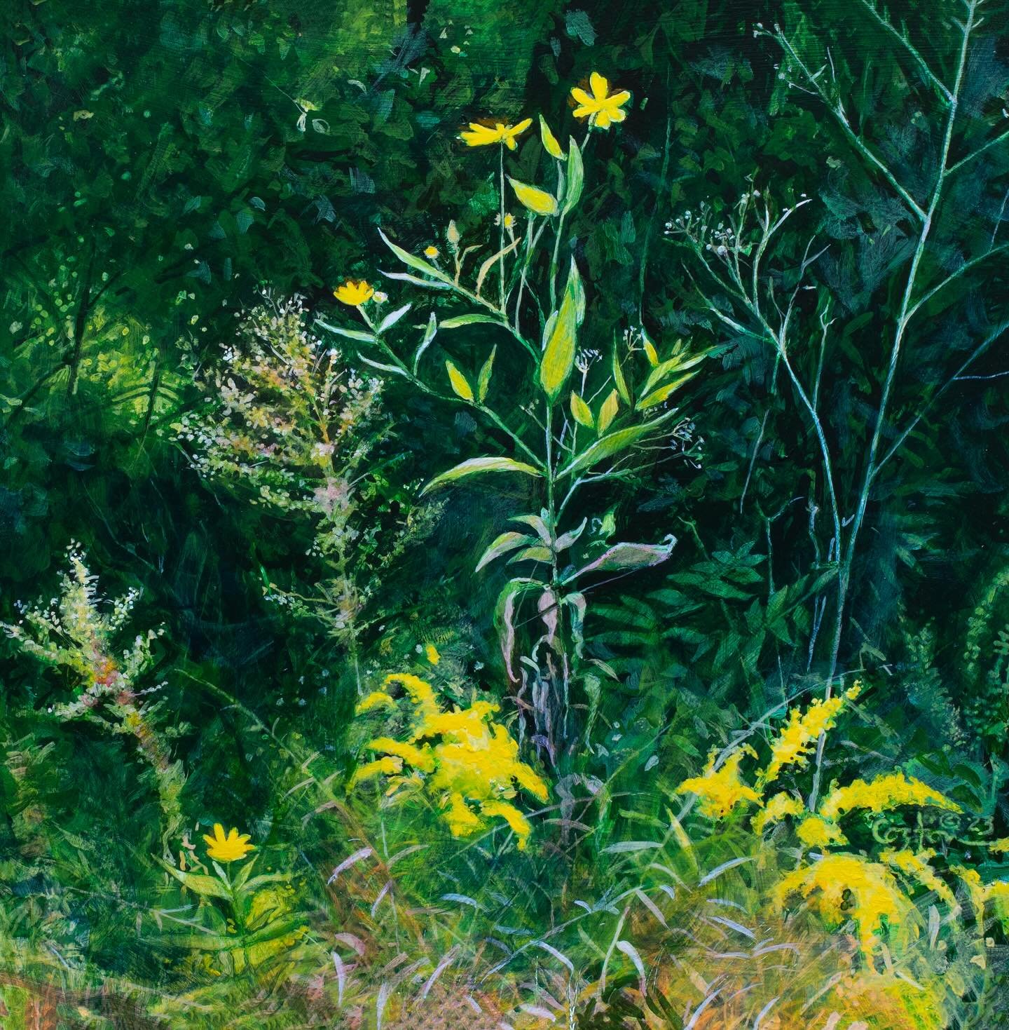 Hey friends! I&rsquo;m thrilled to have these two paintings in LUSH, the inaugural show at @midnightgallerynwa a cool new space in Bentonville! Stop by and check out their gallery, the show is up until Dec 30th. 😊

Slide 1: &ldquo;In the Weeds&rdquo