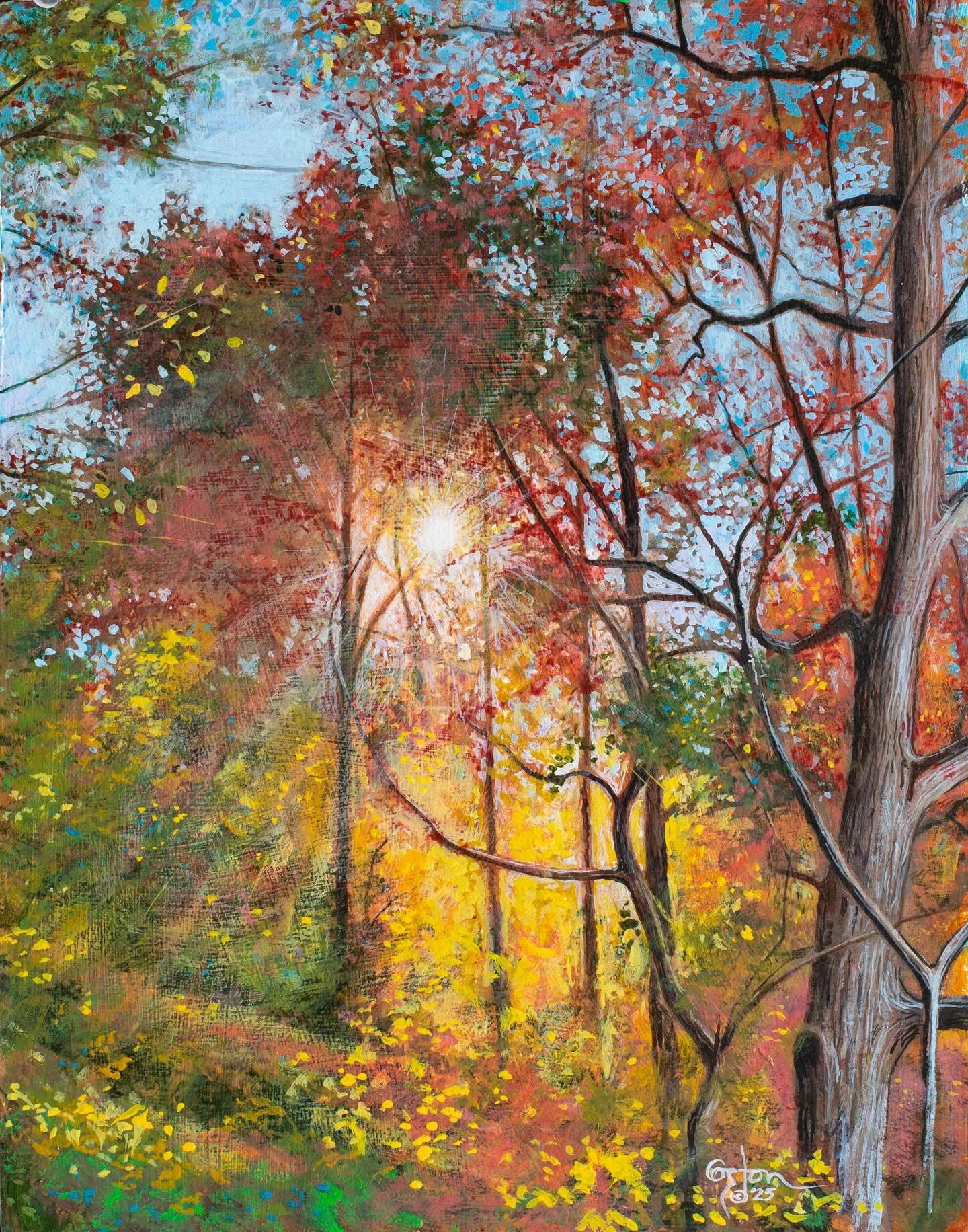 Caught a moment from a bike ride 🚴last fall near Lake Fayetteville on the Razorback Greenway. I just happened to be in the right spot at the right time to capture the sun peeking through the golden leaves. &ldquo;Fractured Light&rdquo; is on display