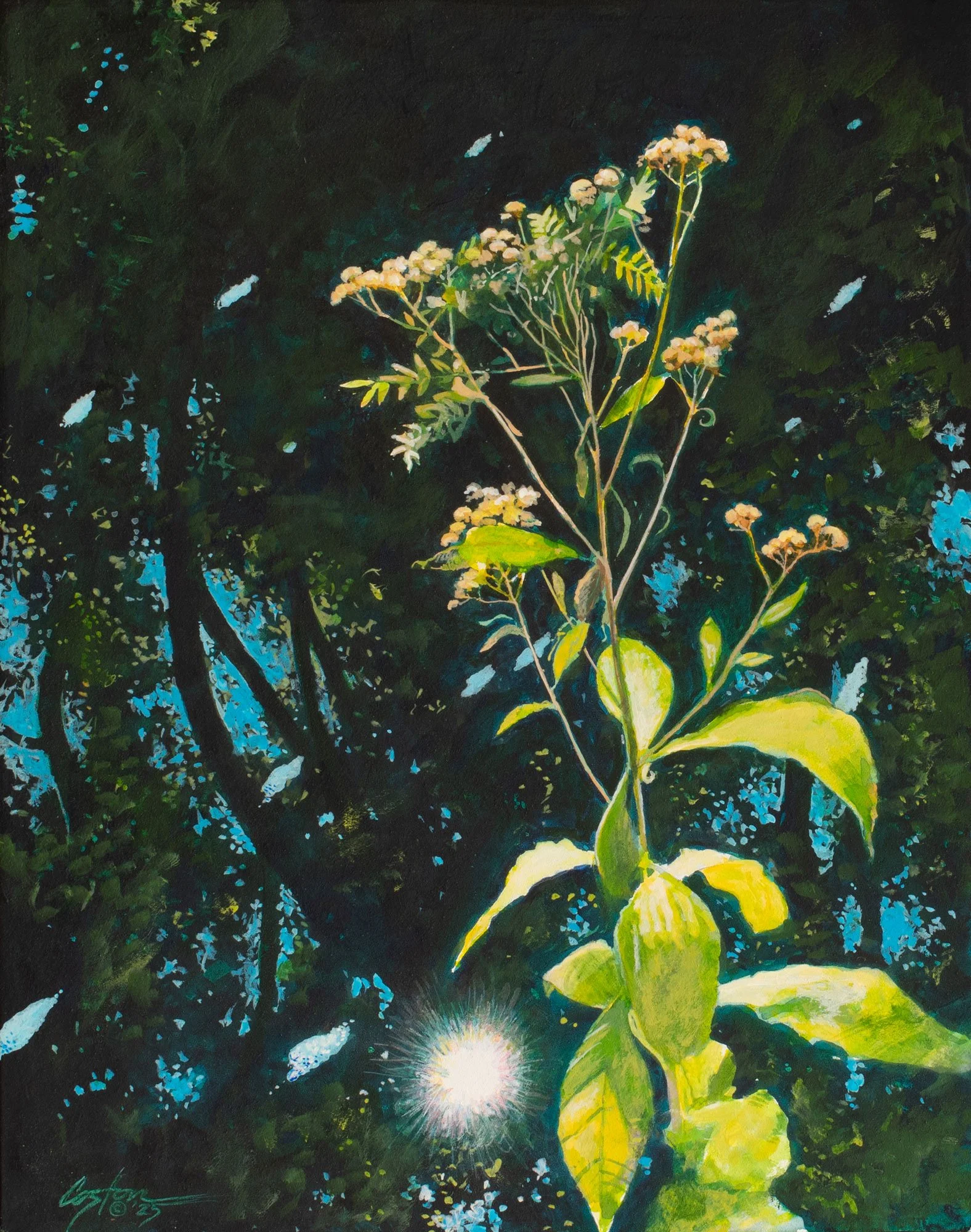 Daniel-Coston-Clear Creek in Slow Motion-lo-res.jpg