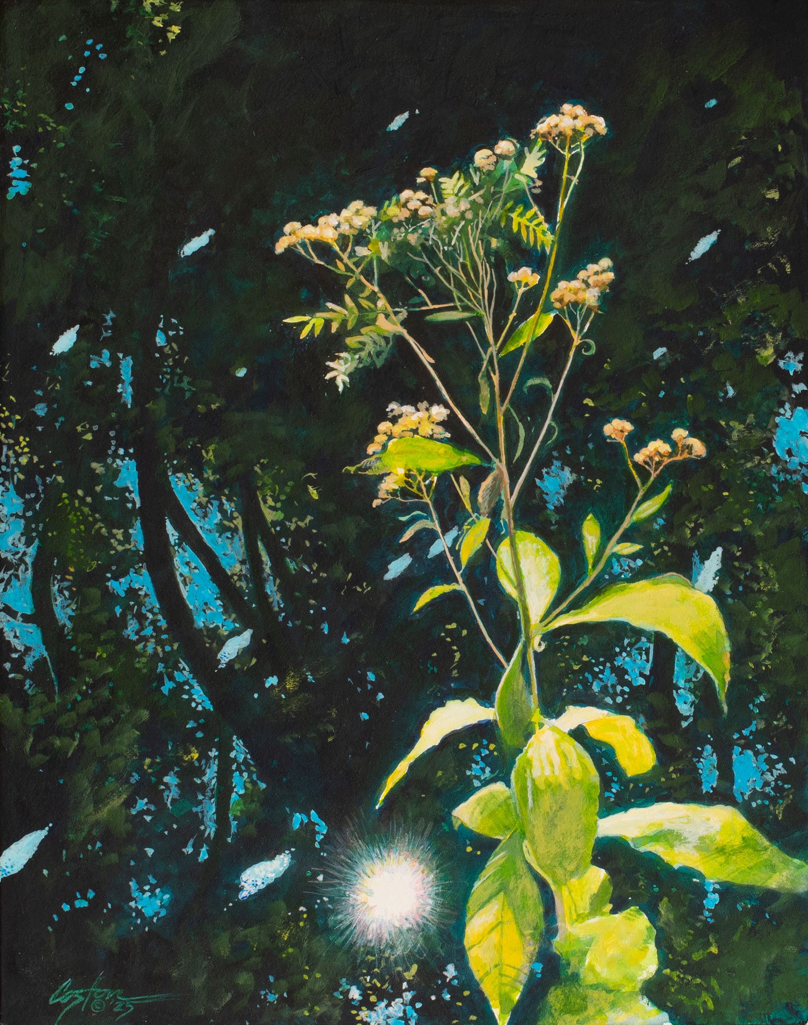 Clear Creek in Slow Motion