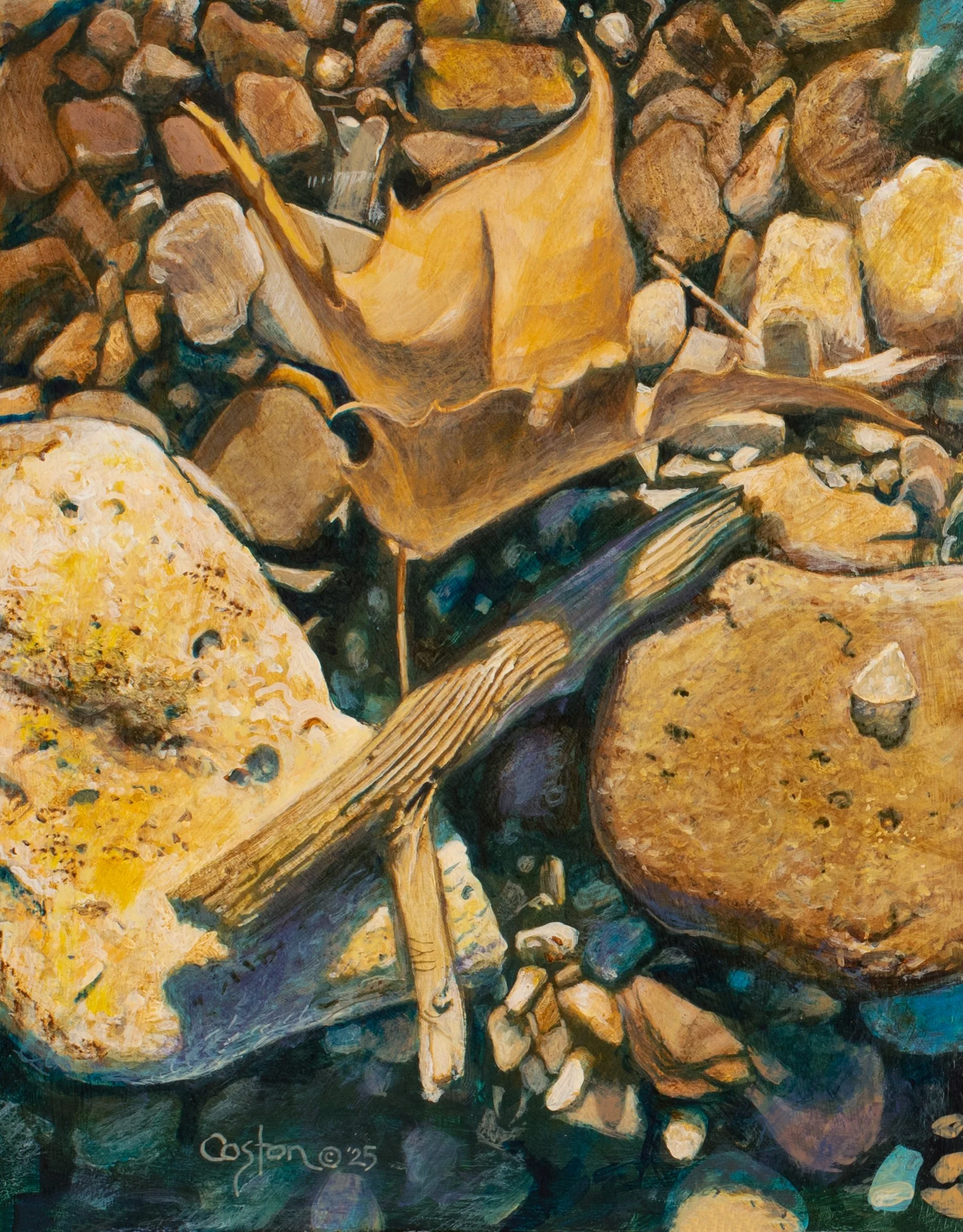 Leaf, Stick, and Rocks