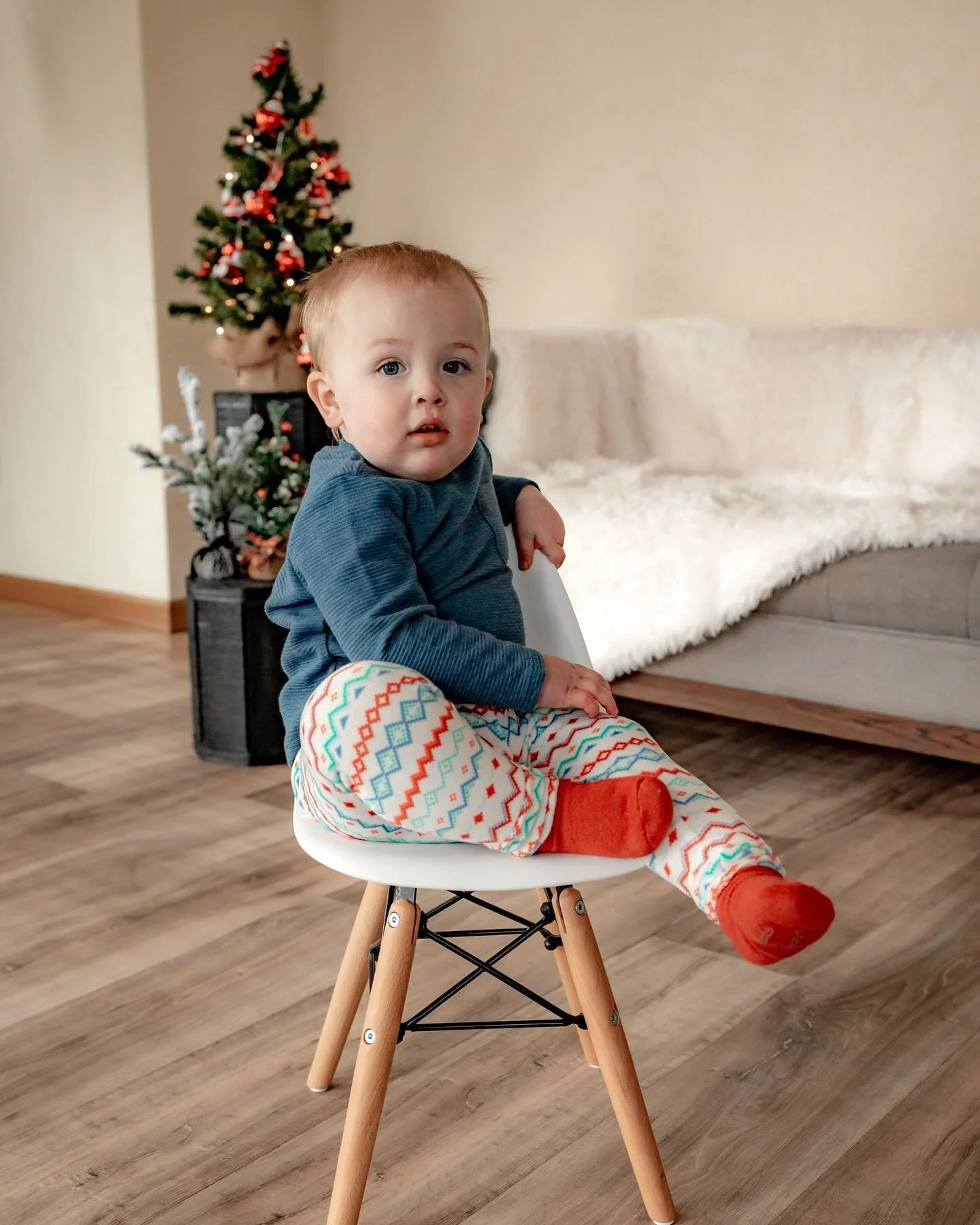 The cutest minis, the cutest #scrl and a very happy holiday season 
-
-
-
-
-
#threetenstudios #studio #christmasminis #holiday #photography #michigan #michiganphotographer #love #photooftheday #lifestyle #lifestylephotography #studiophotography