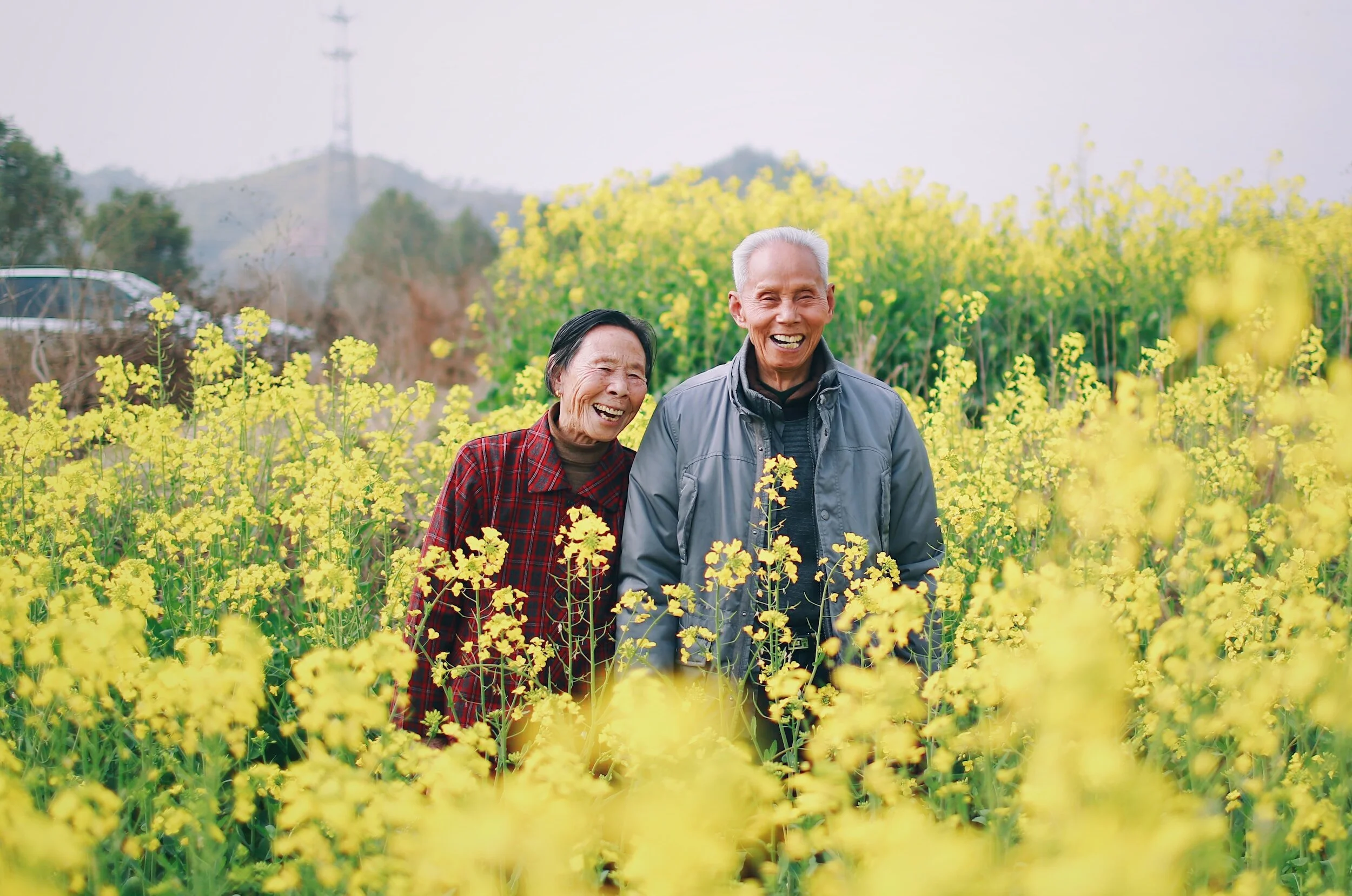 An elderly couple smiling and laughing in a field of yellow flowers, with green trees and hills in the background.