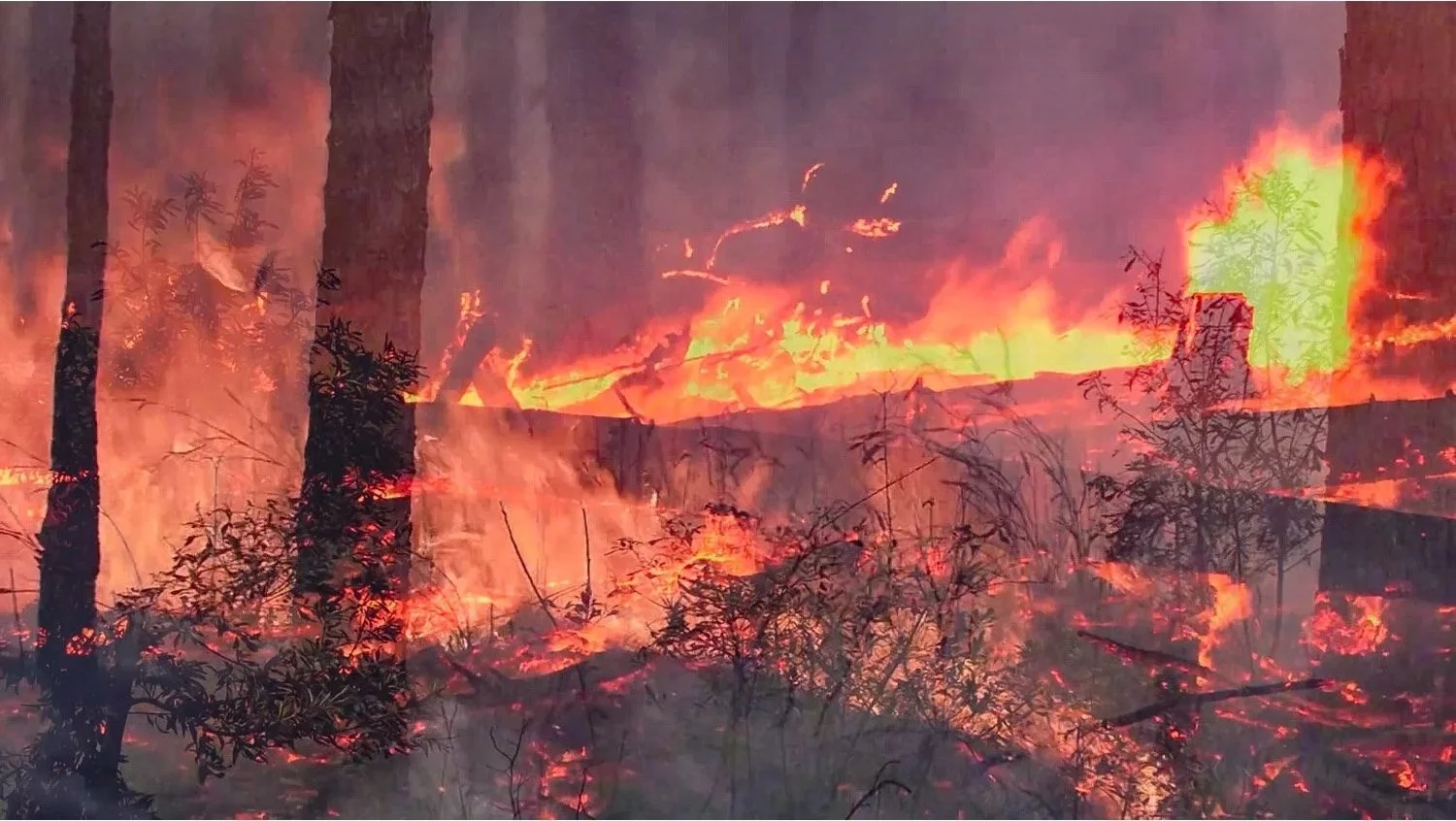 Inhale/Exhale, Until the Last Breath (still from 8 min. video)