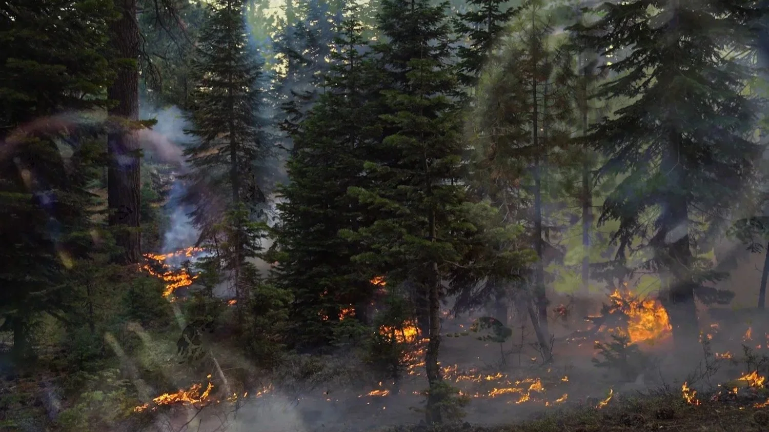 Inhale/Exhale, Until the Last Breath (still from 8 min. video)