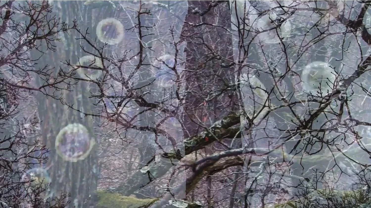 Inhale/Exhale, Until the Last Breath (still from 8 min. video)