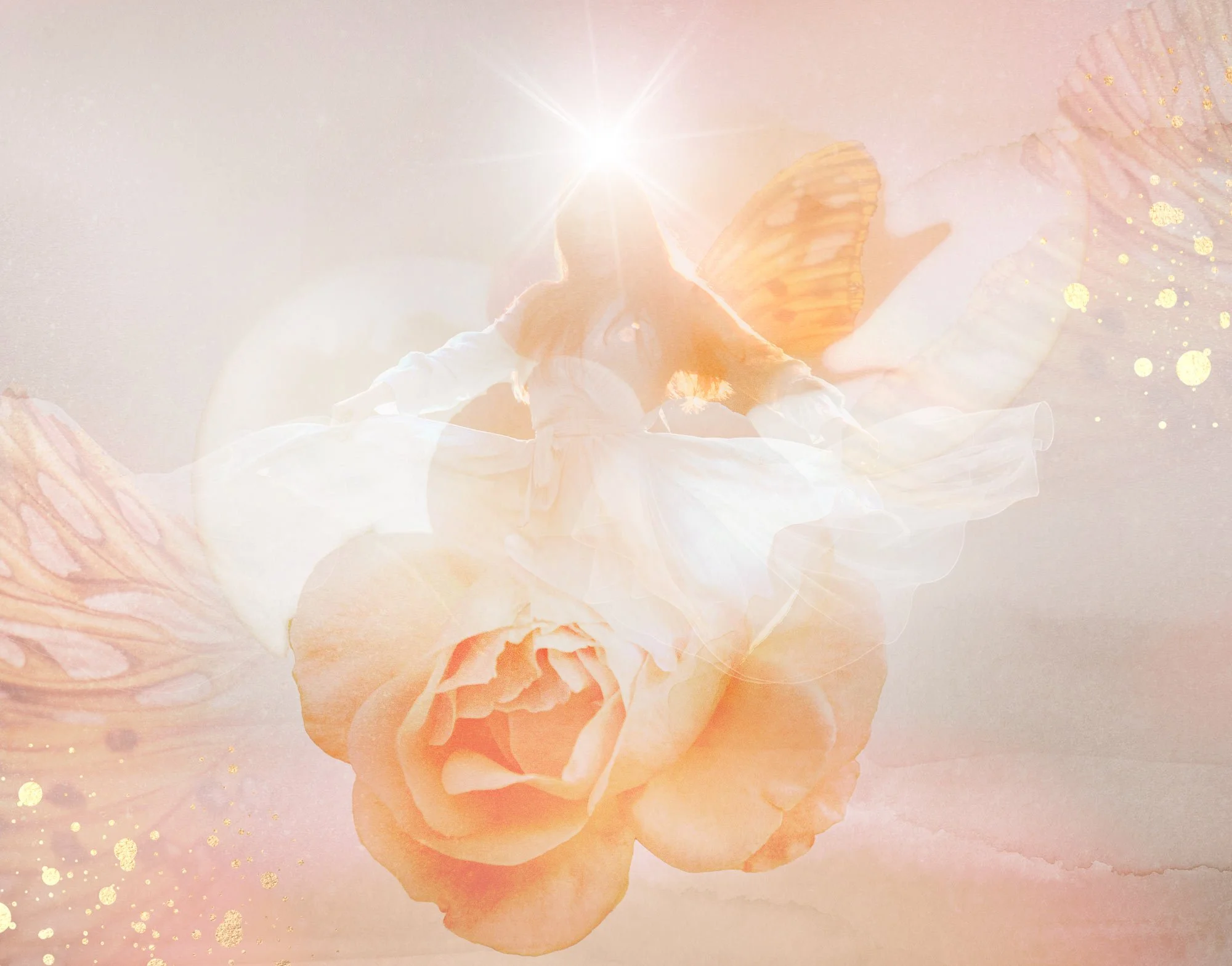 A butterfly with orange and black wings flying over a peach-colored rose with soft pink and peach petals. The background has a light pink hue with golden sparkles.