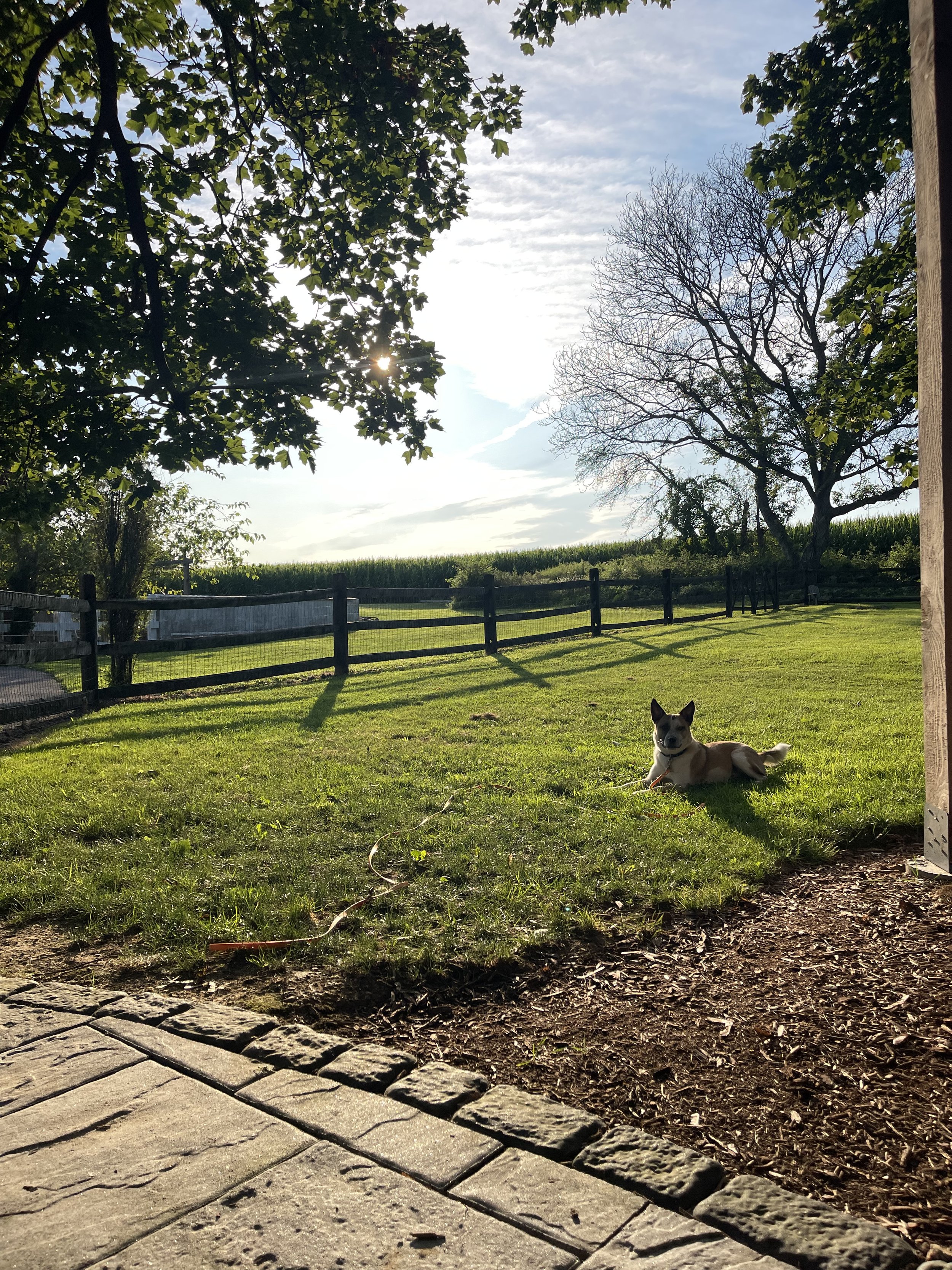 IMG_7845.jpeg