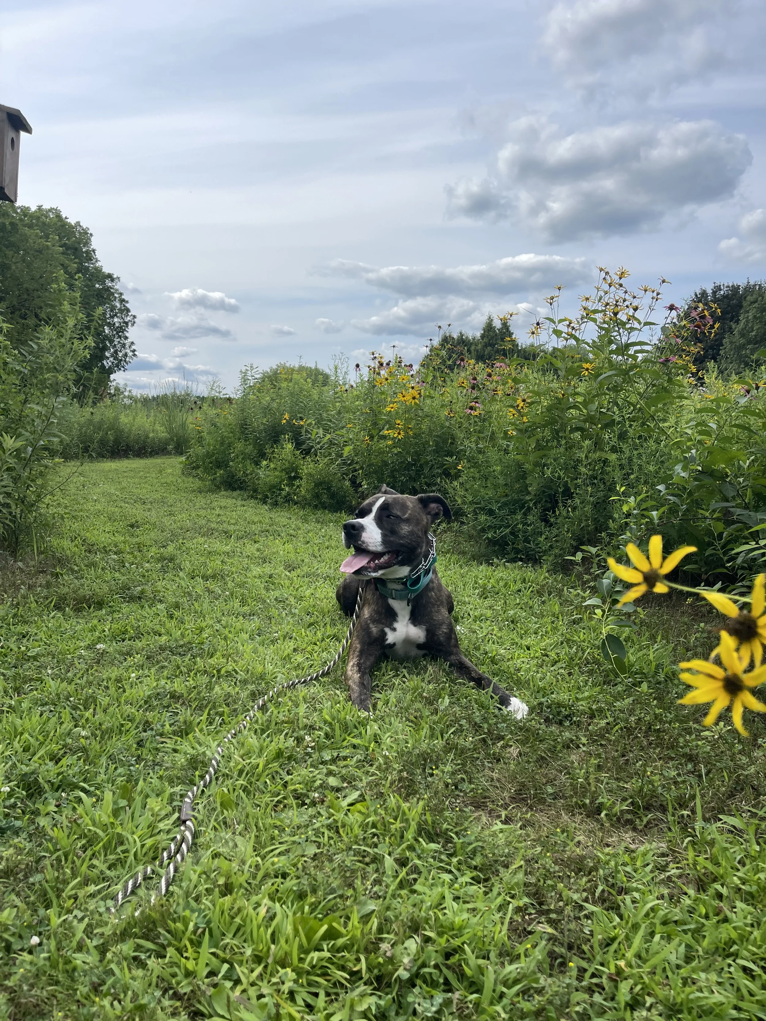 IMG_7912.jpeg