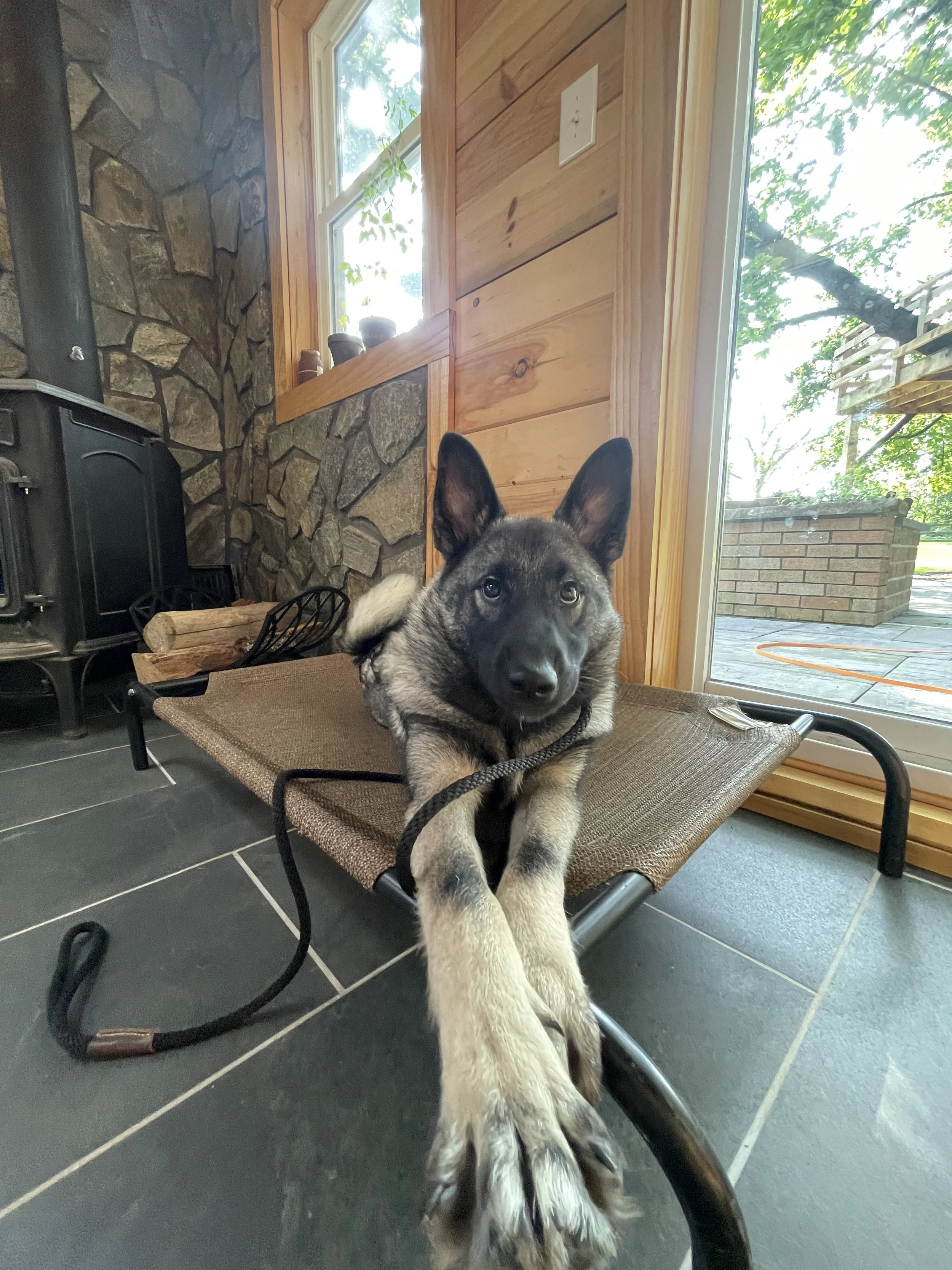 IMG_6717.jpeg