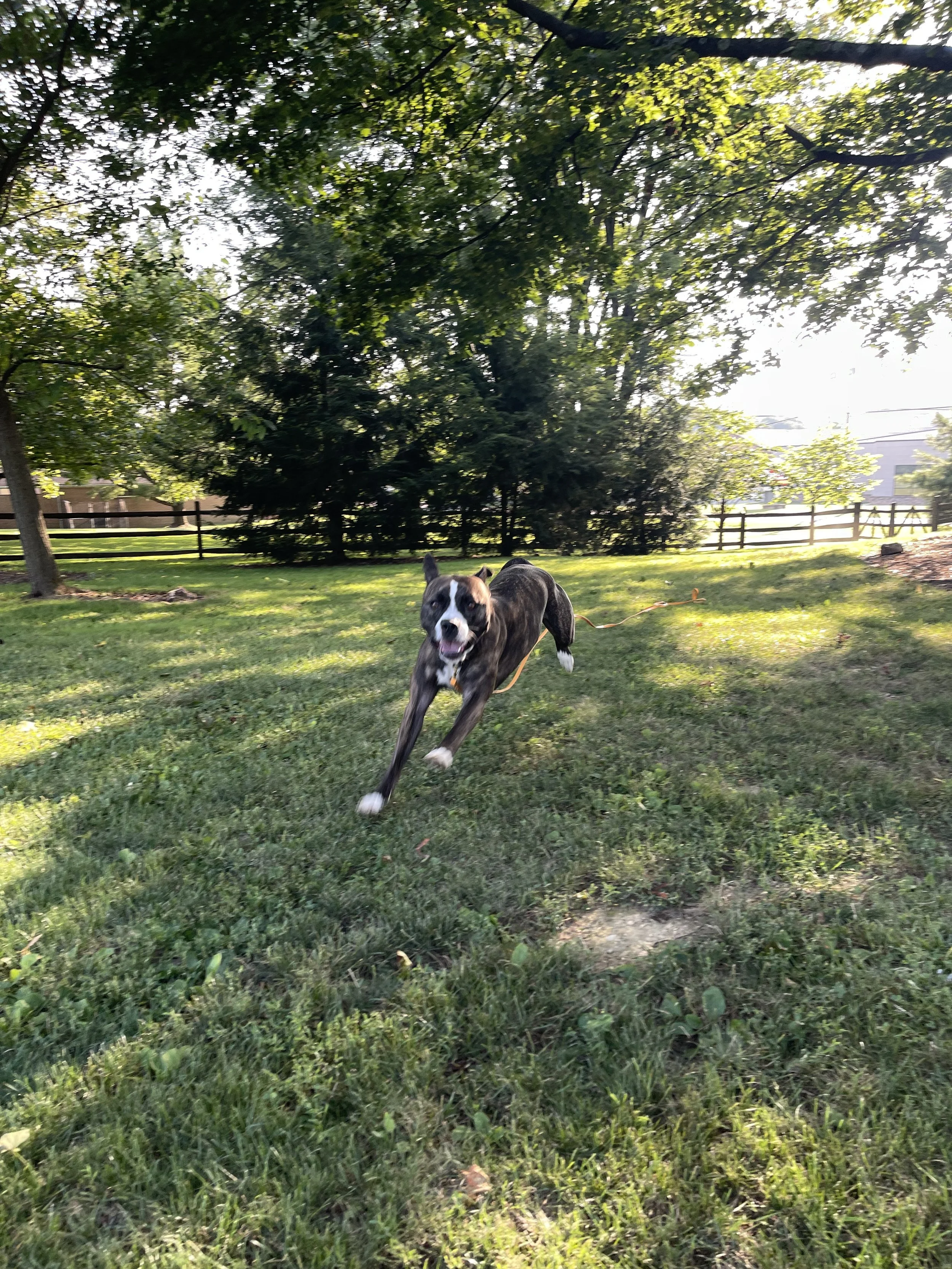 IMG_8118.jpeg