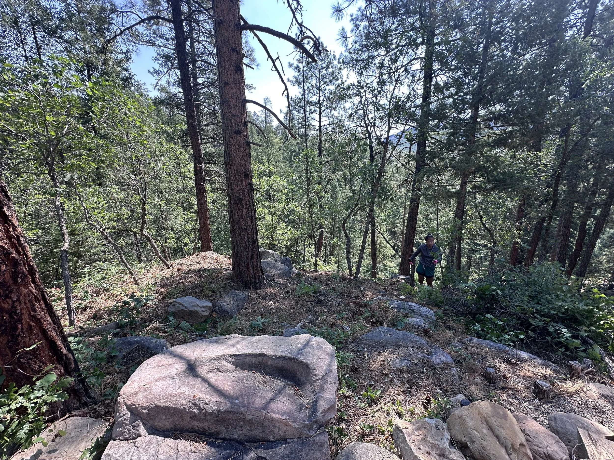 In progress fire mitigation fuel reduction with worker stand to the side