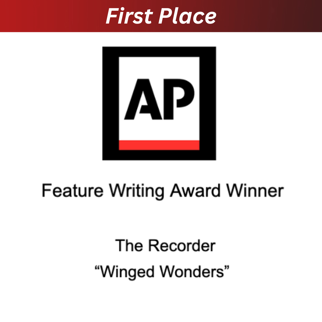 First Place AP Award.png