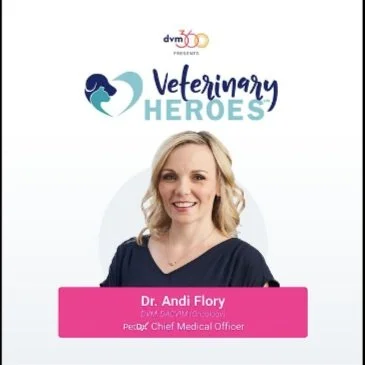 Screen Shot 2024-03-07 at 7.26.46 PM.jpg