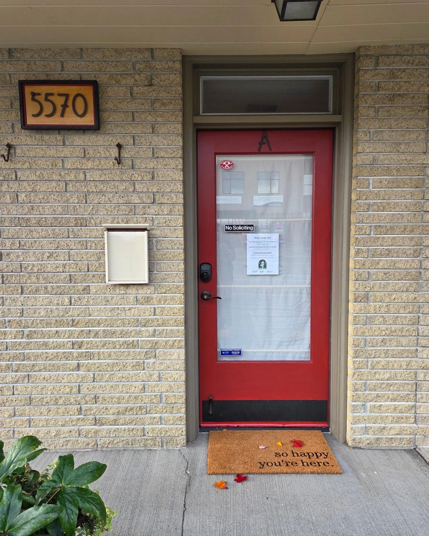 November Taurus Full Moon 🐂 🌝

Clarity, Life's Rhythms, &amp; the Taurus Full Moon

It's hard to believe that it's already November, and at the same time, the Sun setting in the 4 o'clock hour makes it hard to deny that there's only 8 full weeks be