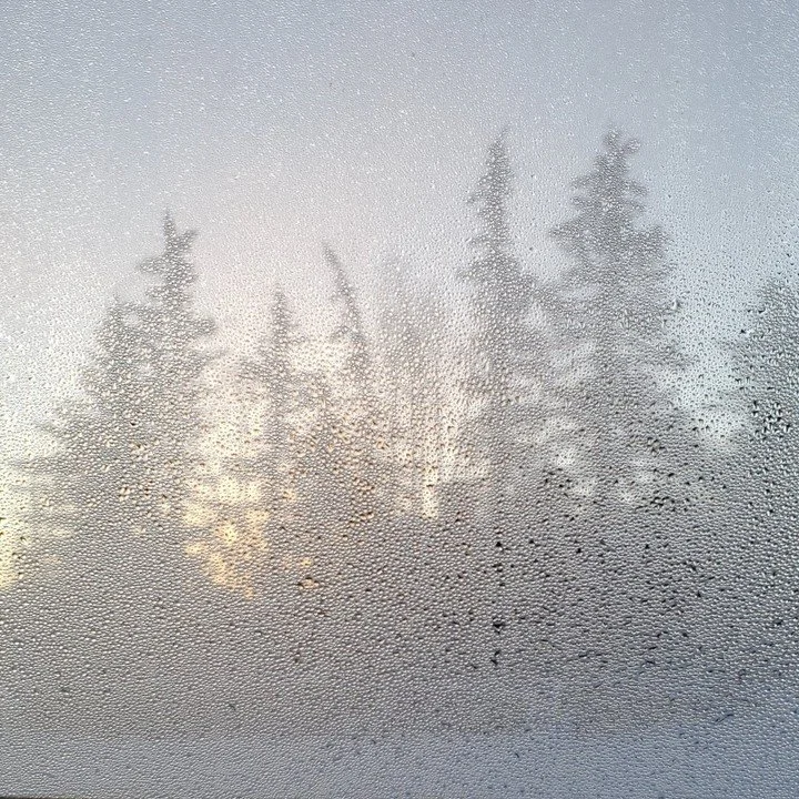 Wrapping up 2025 🌝🌚🐍

Winter is the season of faith. We are making our way to the longest night of the year. 2025 feels like both the longest year and as though the days sped by. That's the energy of Gemini, it's duality and holding two things at 