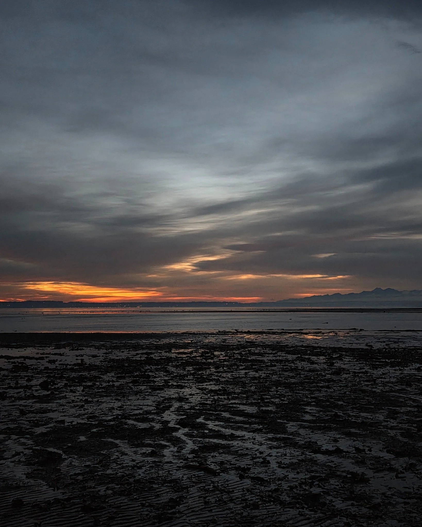 New Moon &amp; Winter Solstice 🌚❄️

Winter is a time of deep listening. The ears are associated with the Kidneys and Water element, which belong to Winter. It's a time to turn inward, get quiet, and listen. As we move into the final days before the 