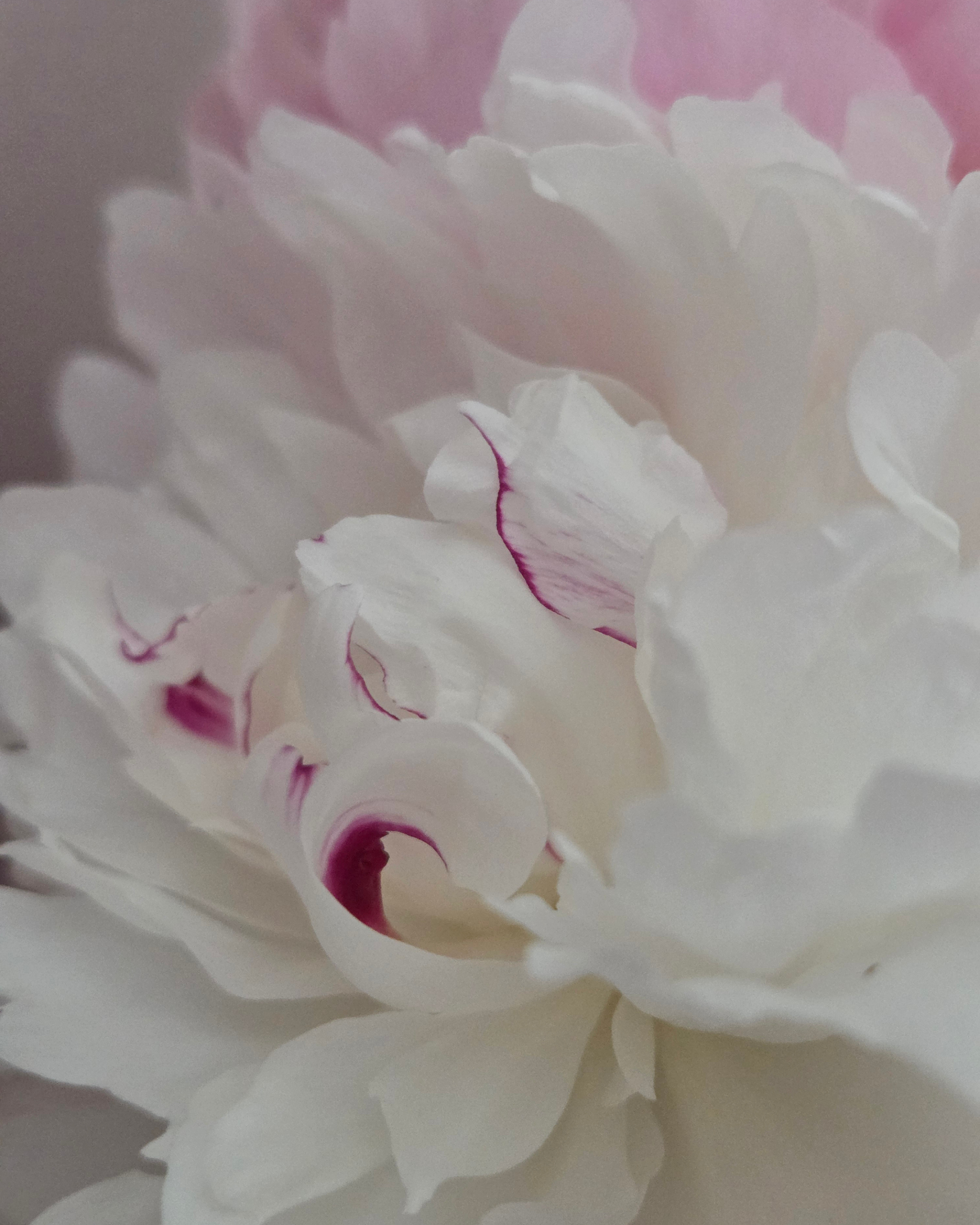 Celebrate the Summer Solstice with Acupuncture + Yoga Nidra
