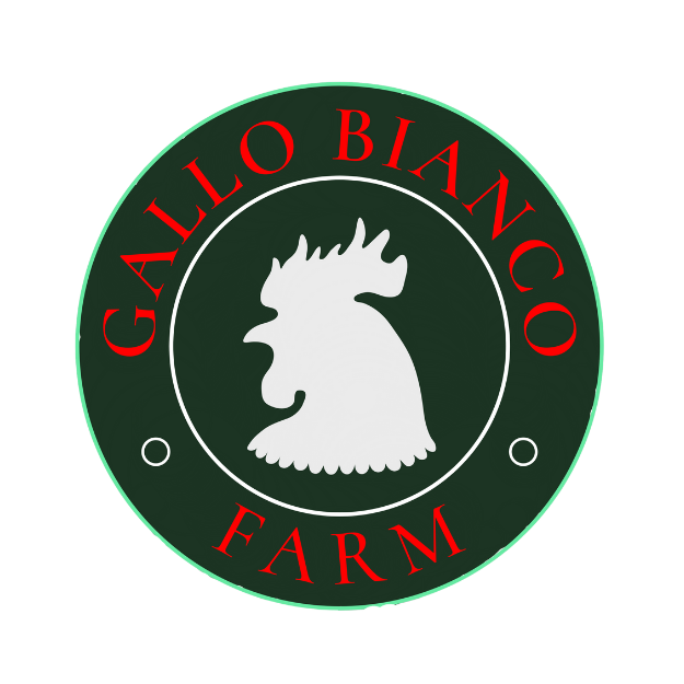 gallo_bianco_logo2.png