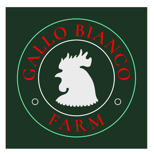 gallo_bianco_logo .png