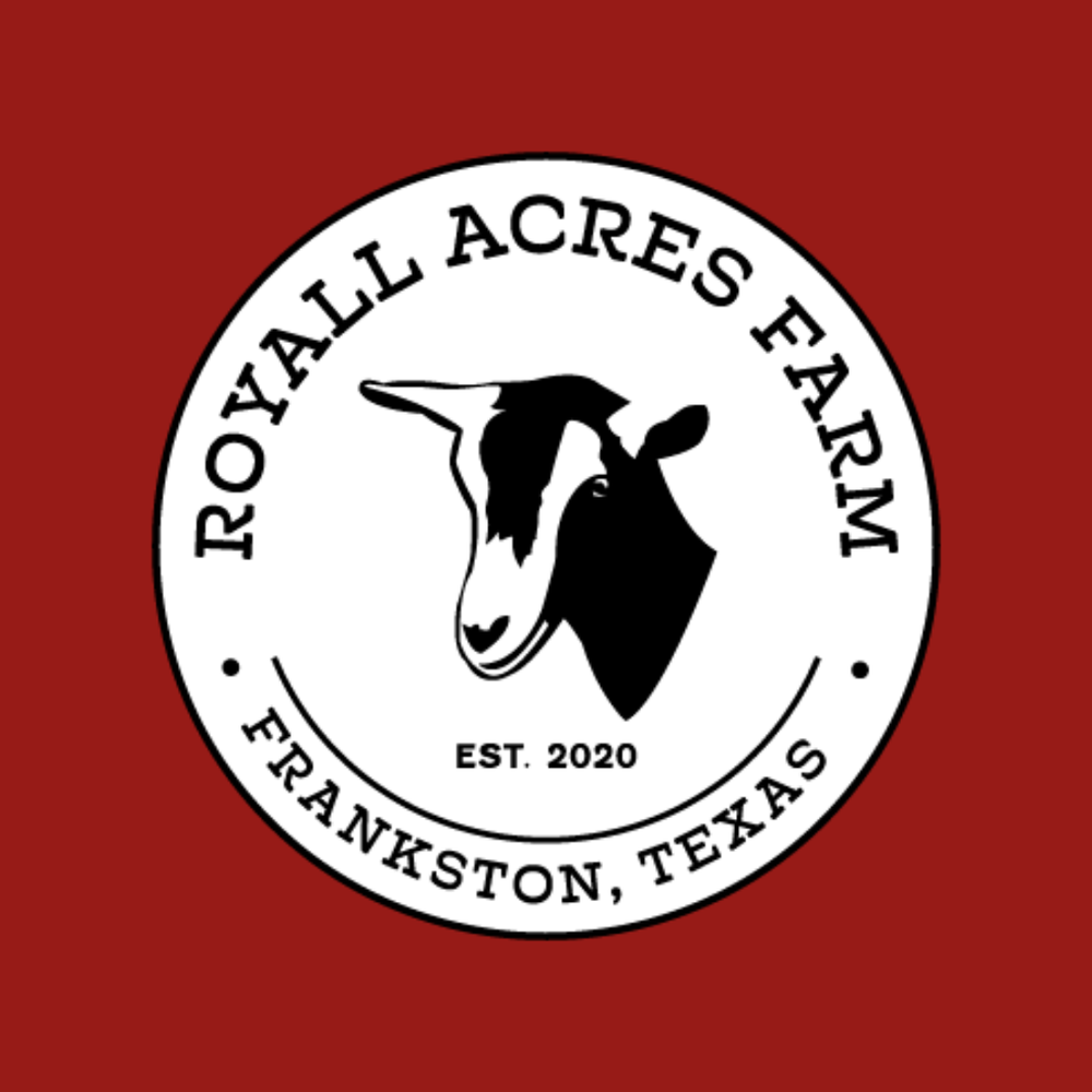 brand-design-ollie-kat-design