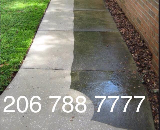 Pressure Washed Sidewalk in Seattle