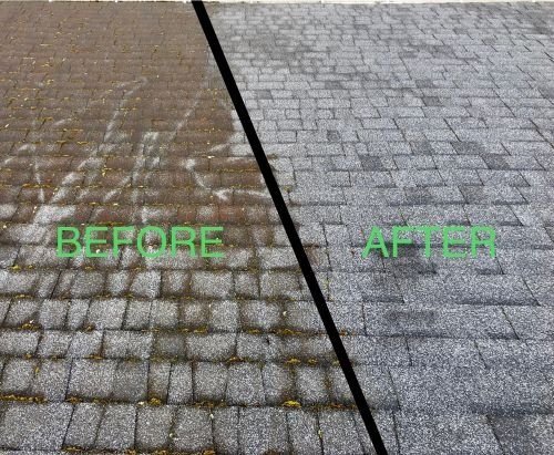 Pressure Washed Driveway in Seattle