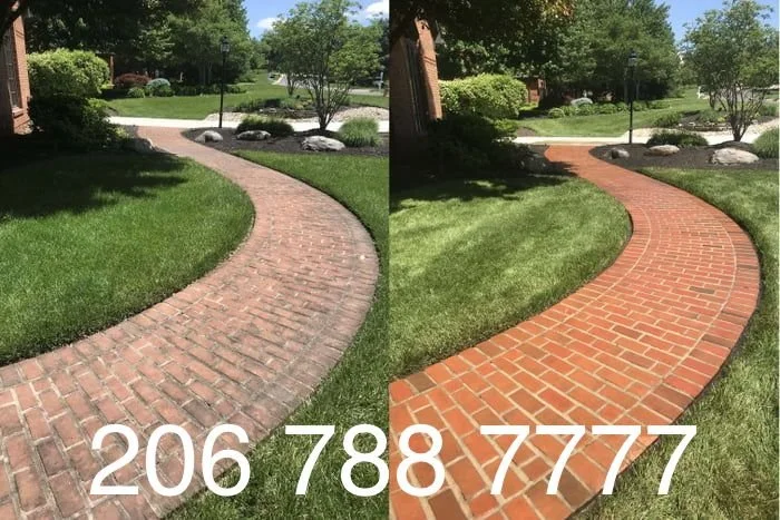 Pressure Washed Brick Walkway in Seattle