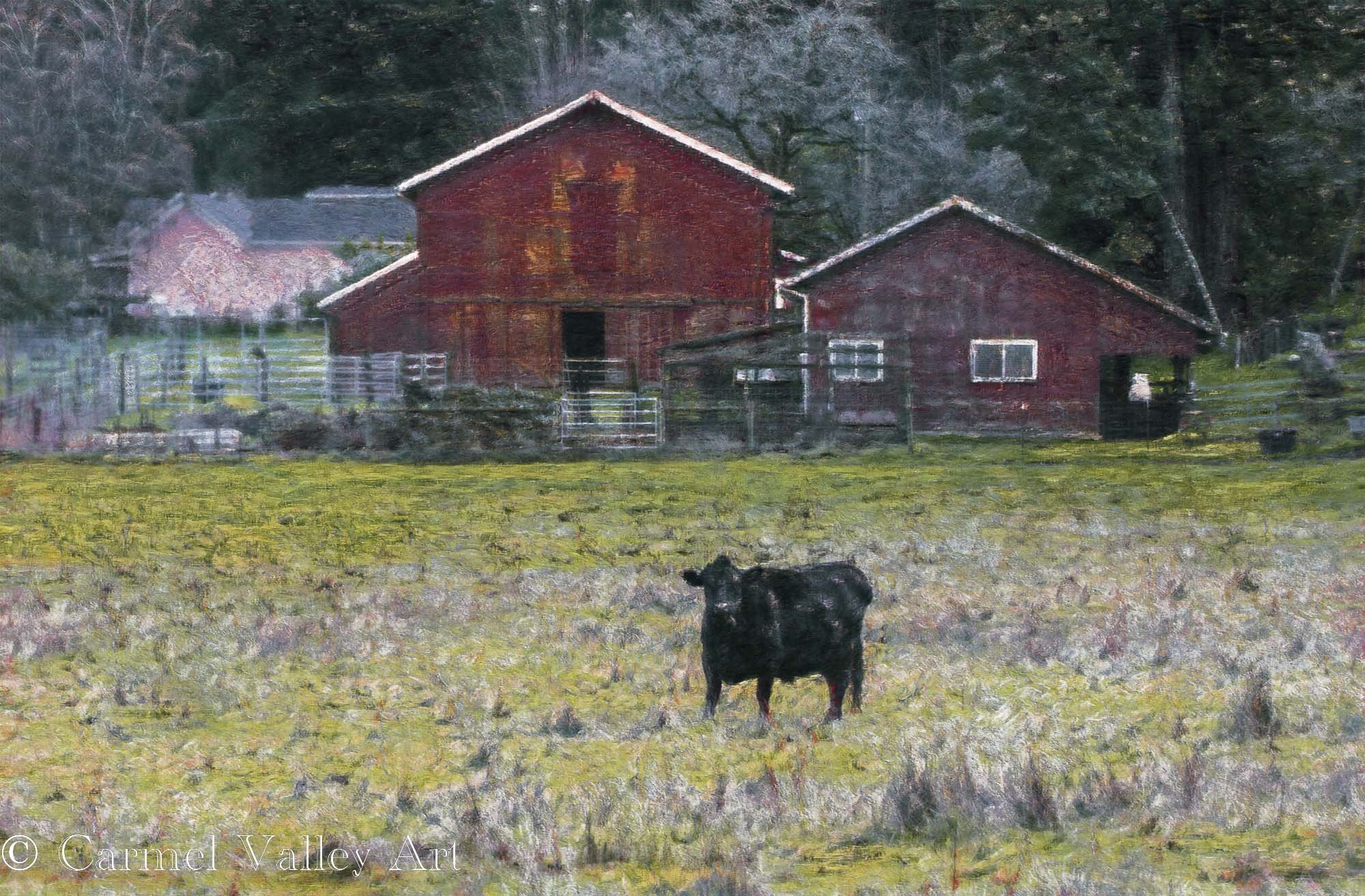 RussianRiverFarm.jpg