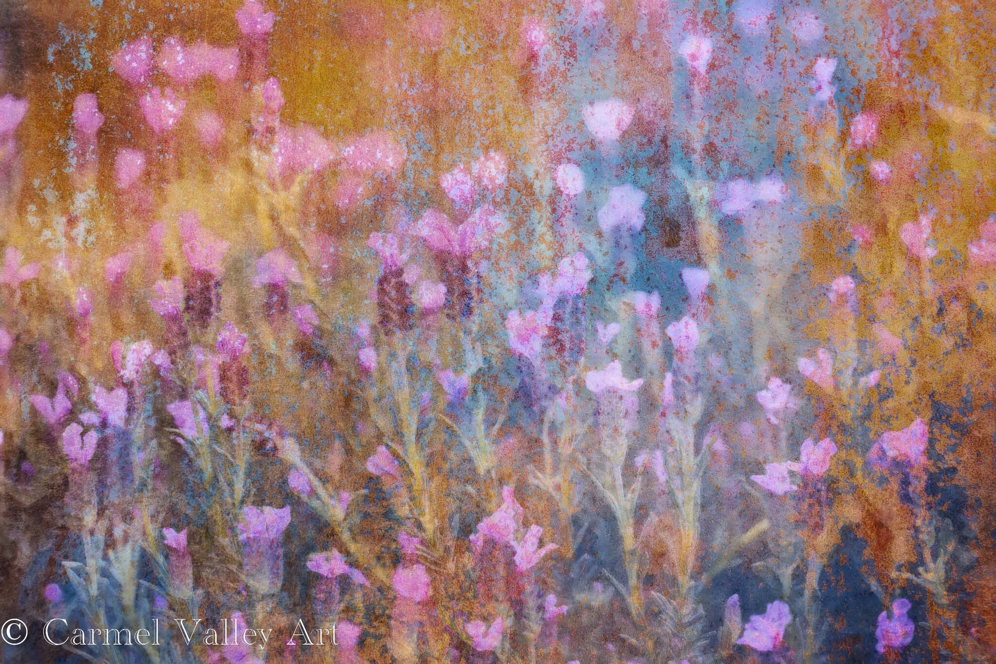LavenderCollage.jpg