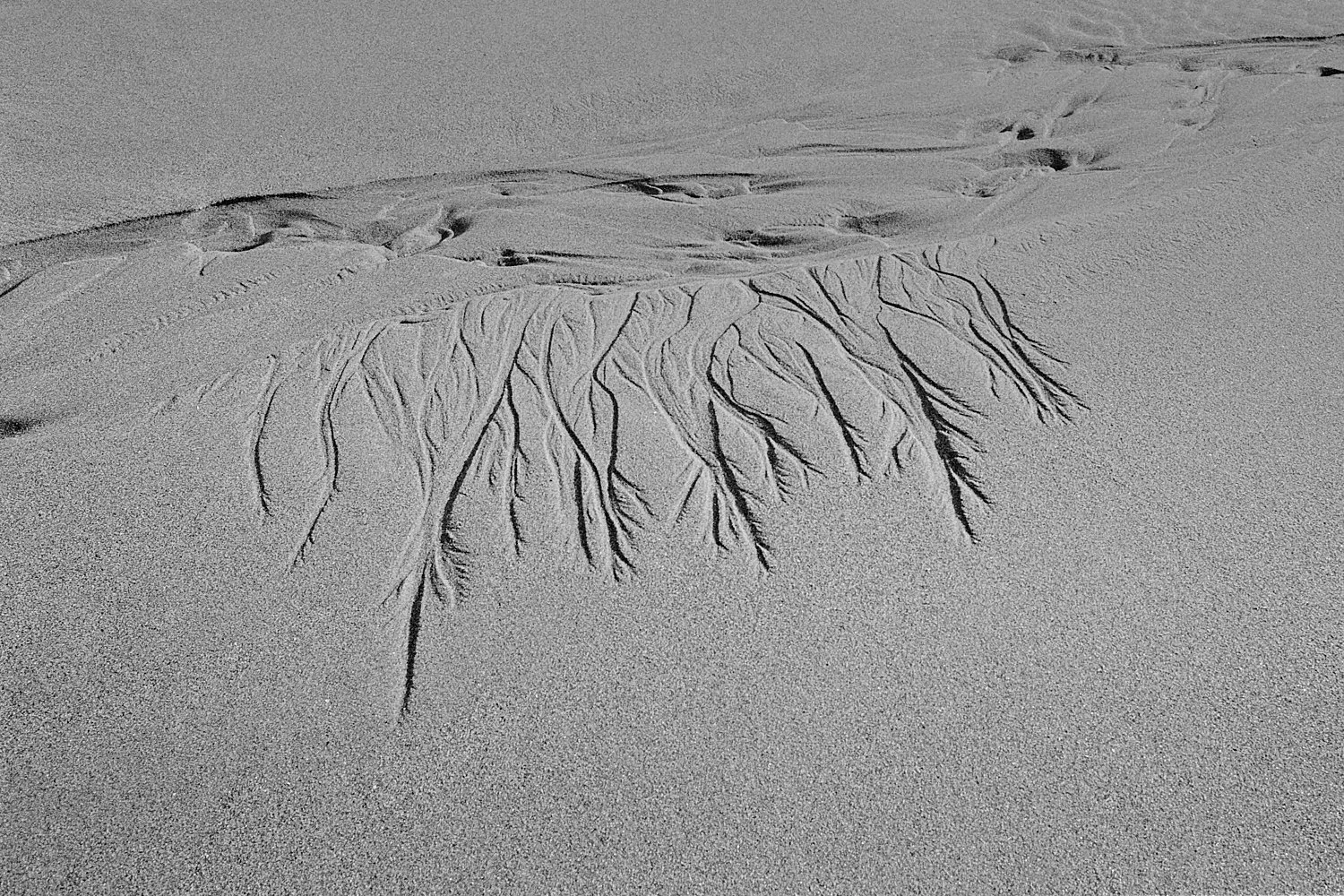 PEMBROKESHIRE_XP2_01-positive.jpg