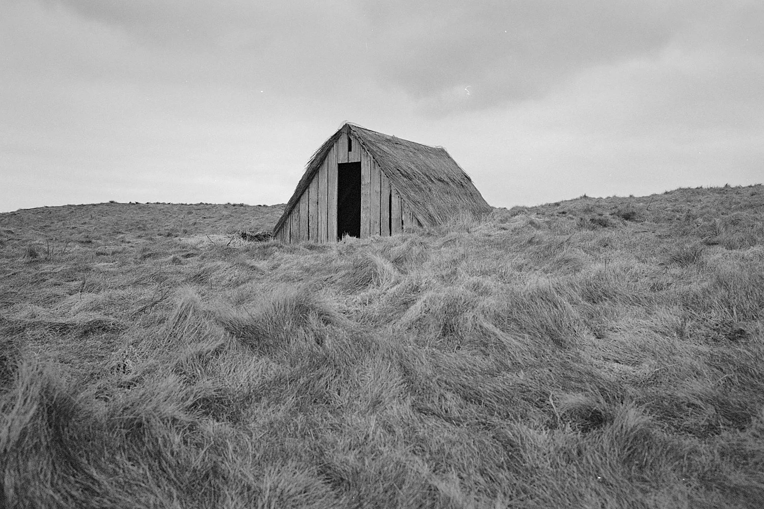 PEMBROKESHIRE_XP2_23-positive.jpg