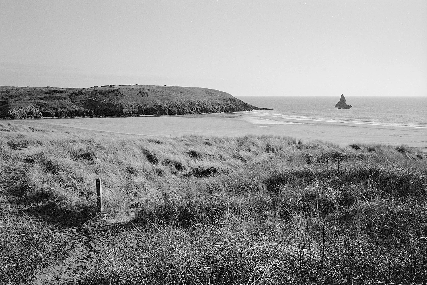 PEMBROKESHIRE_XP2_33-positive.jpg
