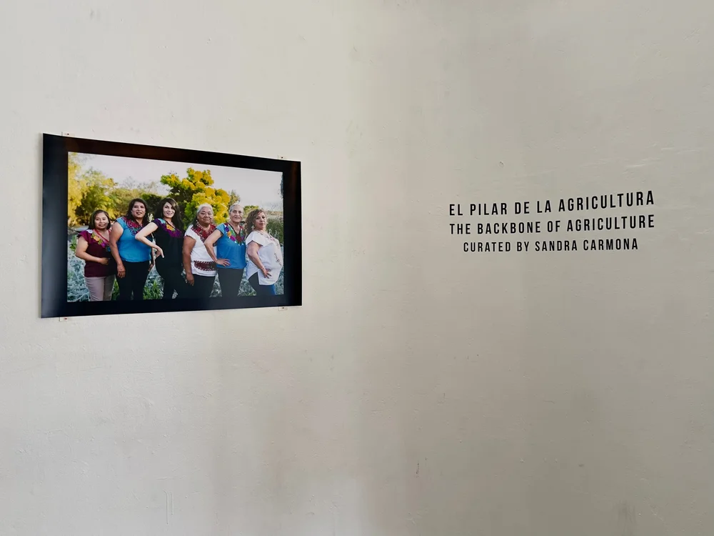 RAS Photos - Carmona 01.jpeg