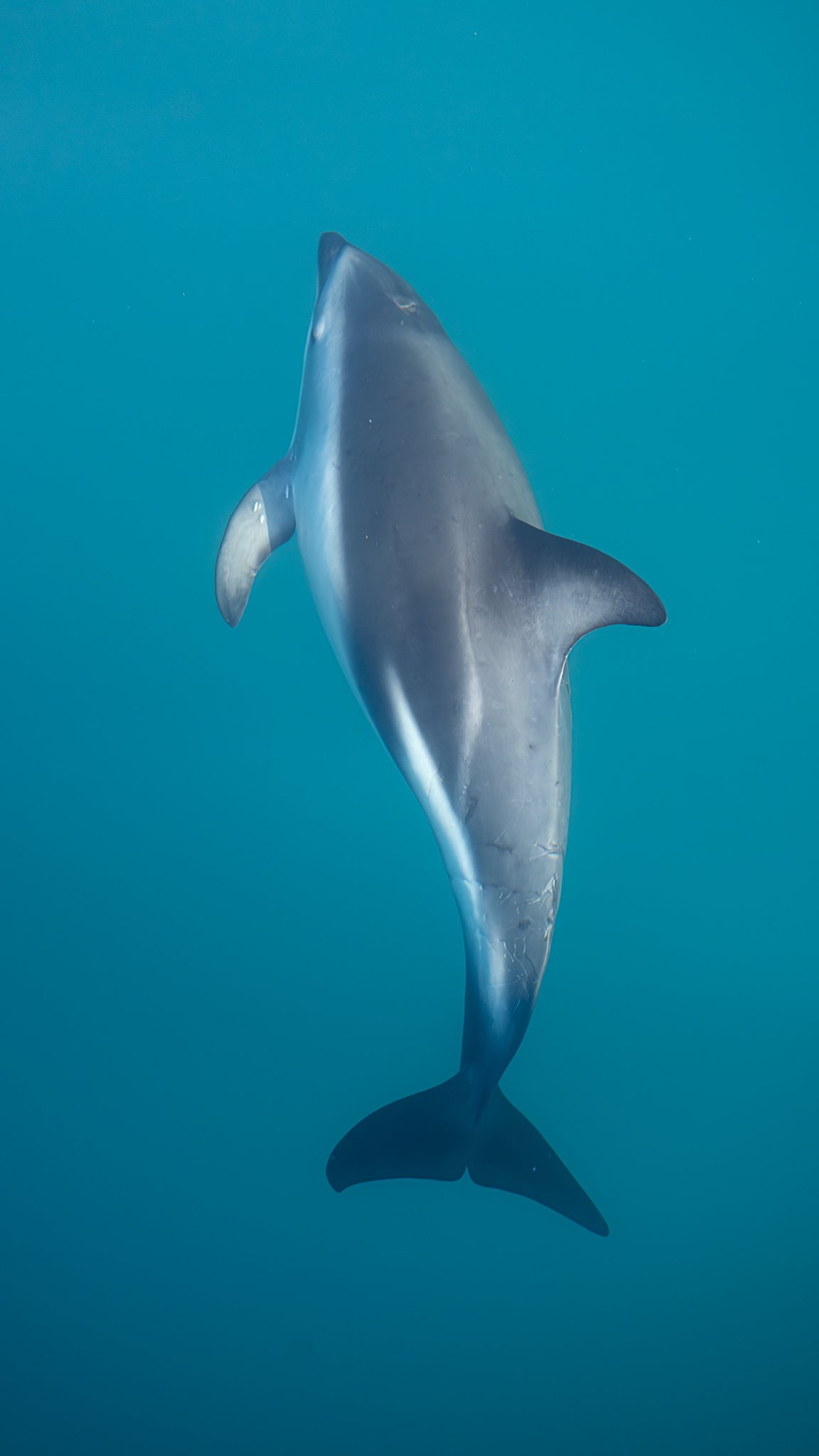 _S8A4360-2.jpg