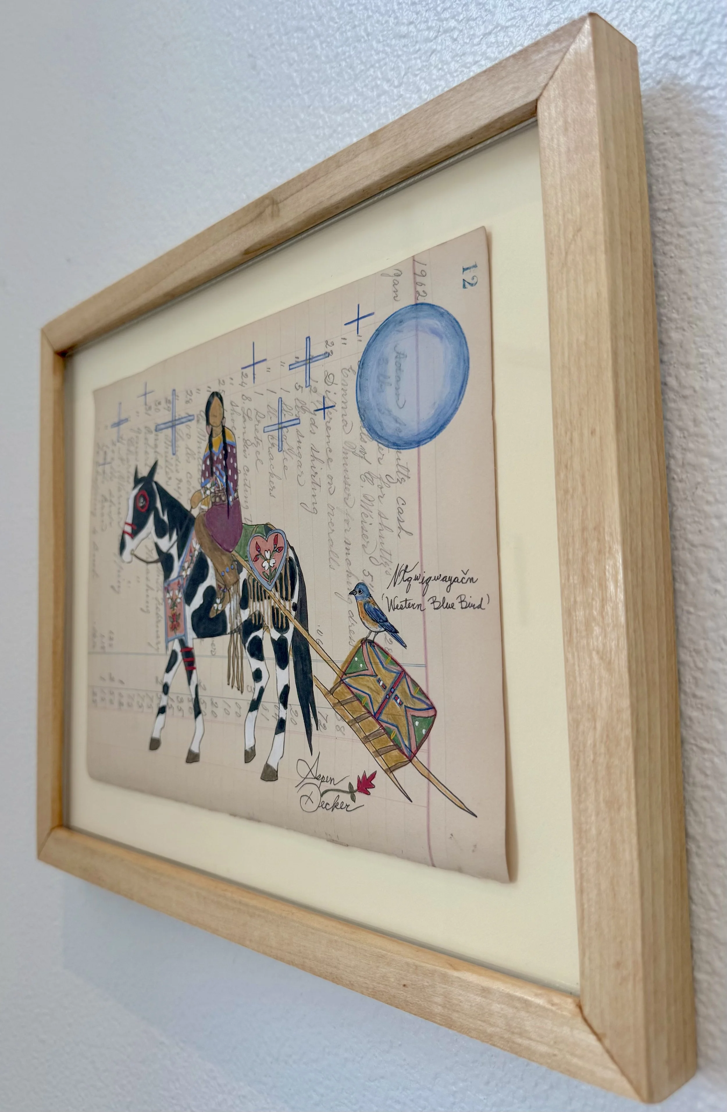 Original Artwork: Nłqʷiqʷayačn (Western Bluebird) Hitching a Ride