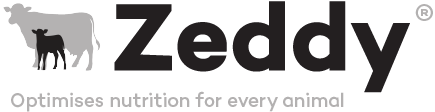 zeddy-logo.png