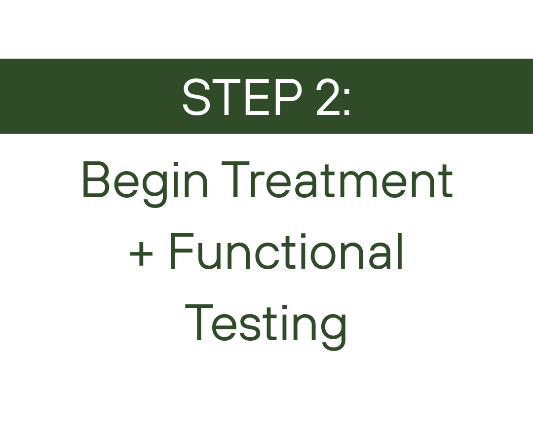 Receive a personalised nutrition plan based on your symptoms and goals