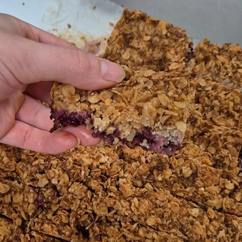 Blackberry Oatmeal Bars for Hormone and Gut Health
