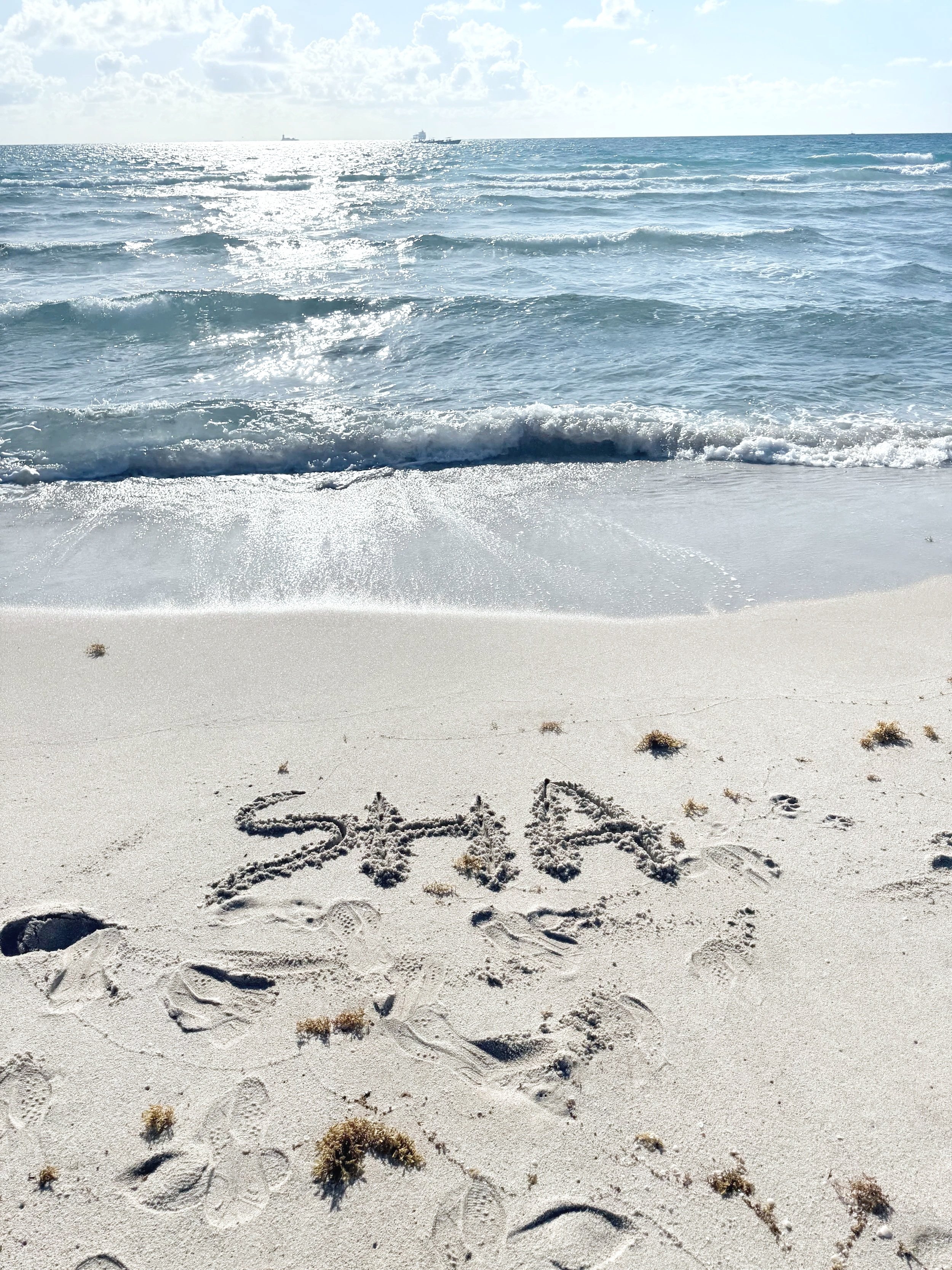 SHA RUSSO POLLACK  setting intentions on the beach with sand, seaweed, and footprints, SHA Southampton ny