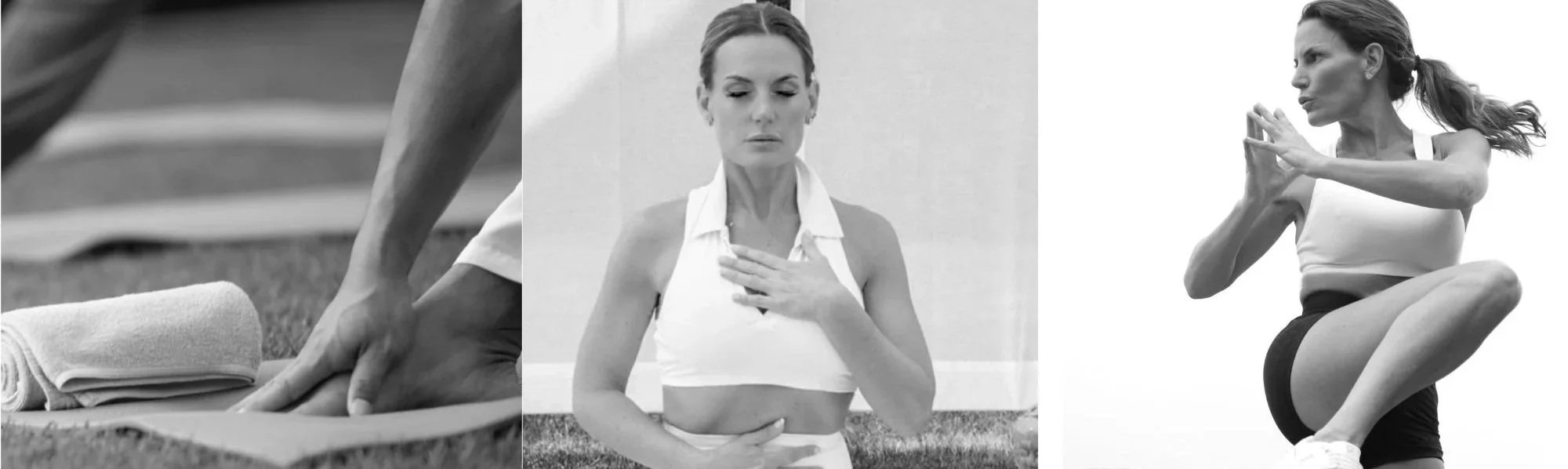 SHANNON RUSSO POLLACK FITNESS MOVEMENT