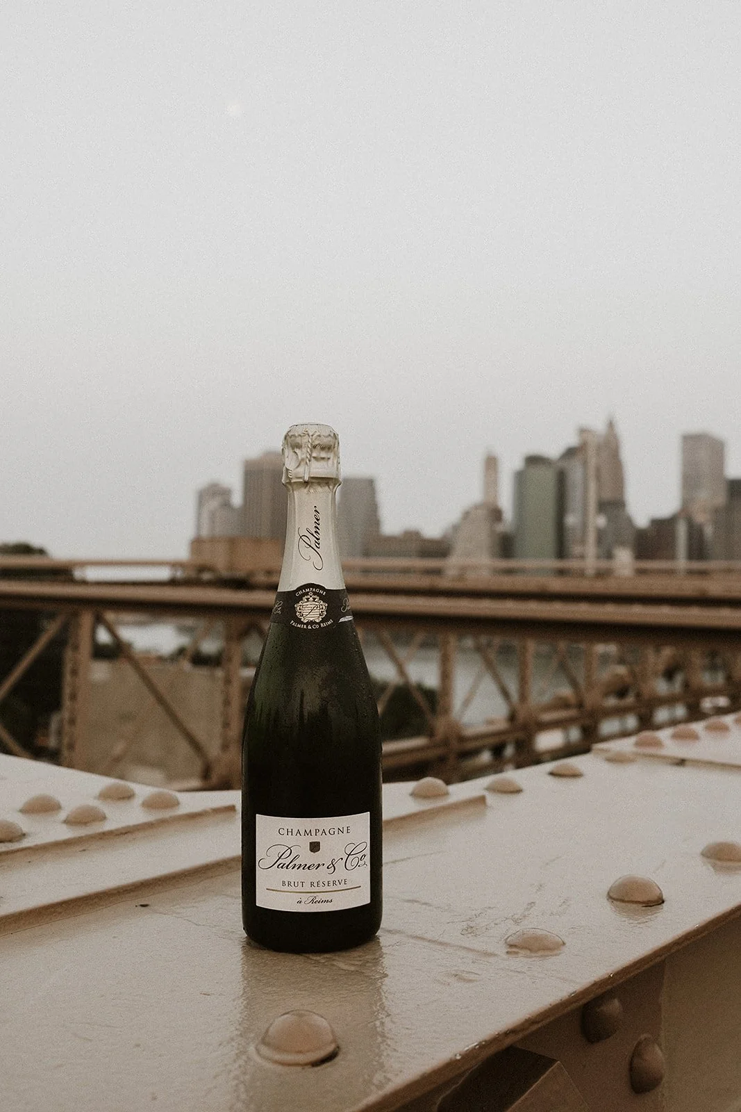 EngagementPhotosNYC-288.jpg