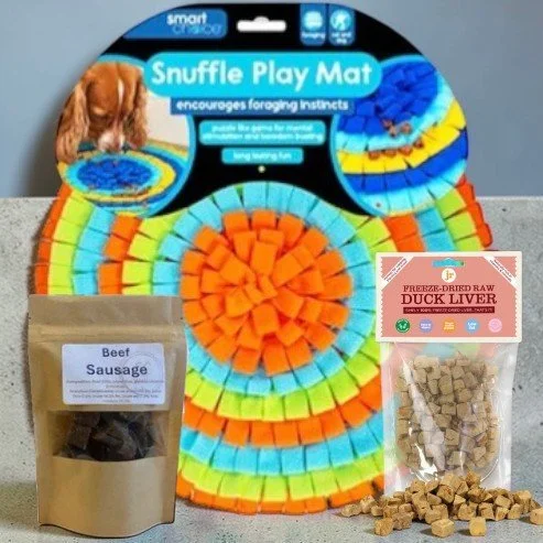 SC1163-mainor-Photoroom with treats.jpg