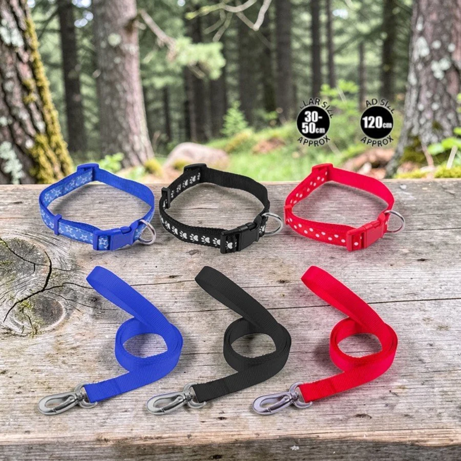 LEAD AND COLLAR SET 30-50CM.jpg