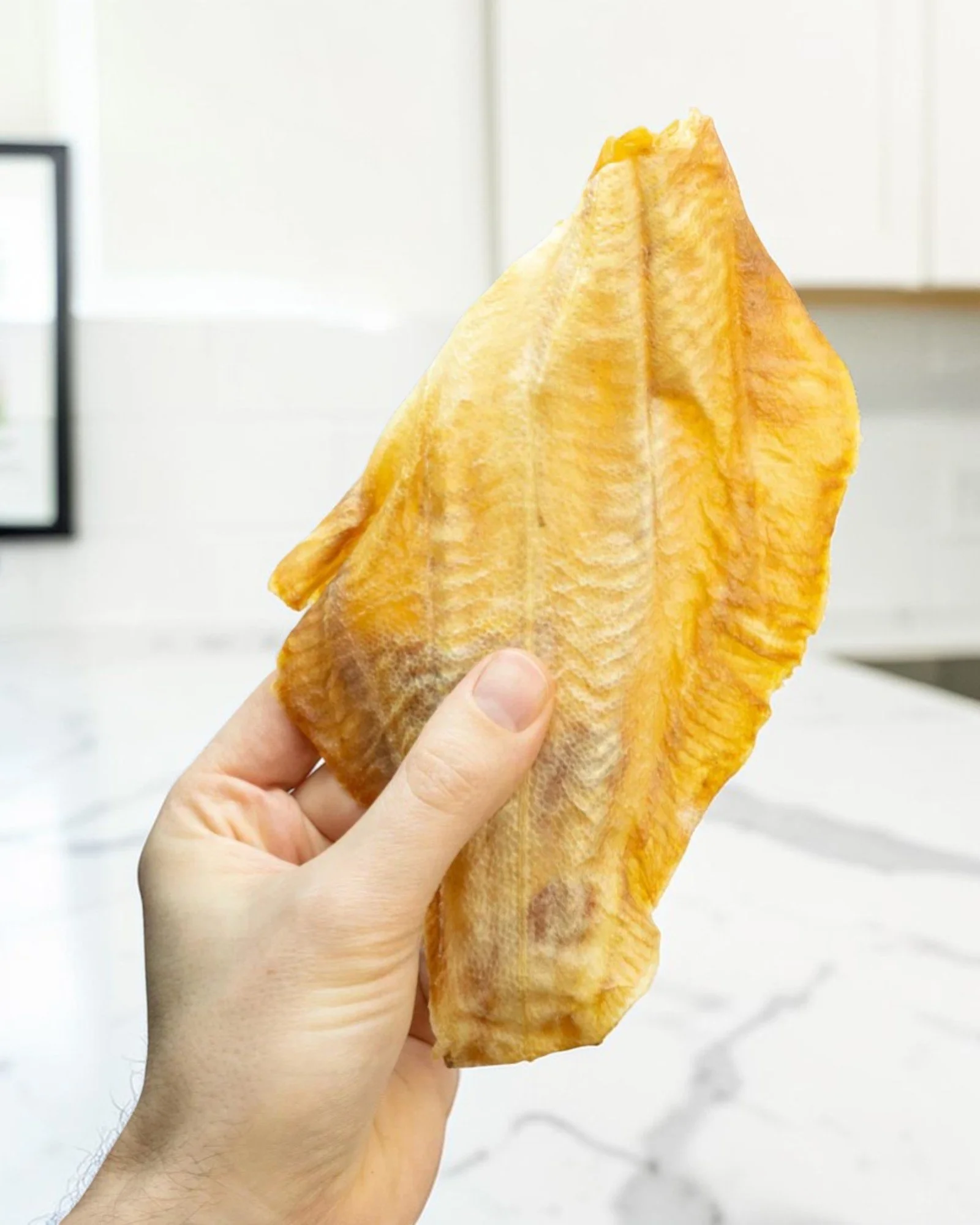 DRIED PLAICE FILLET1.jpg