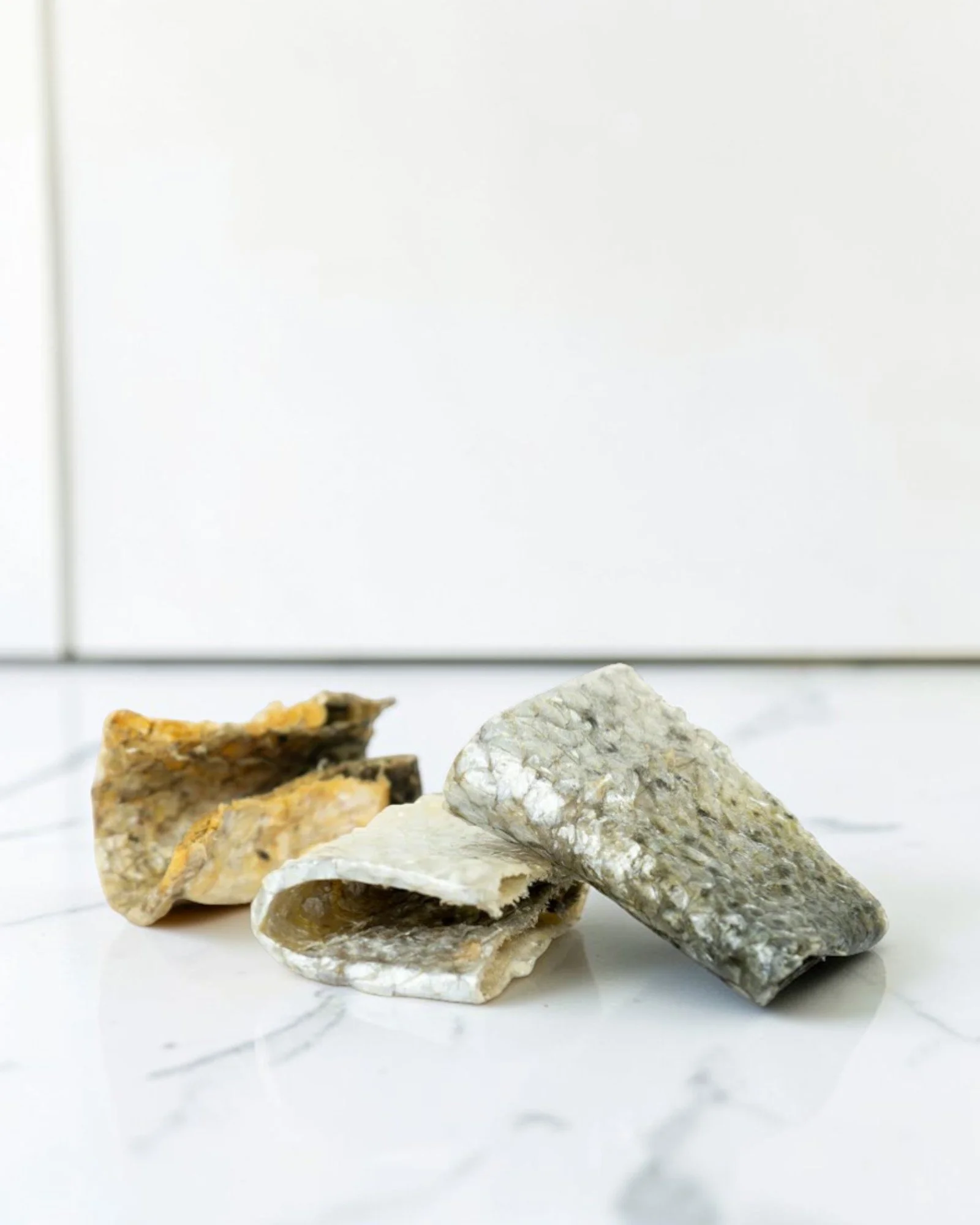 SALMON SKINS 1 (1).jpg