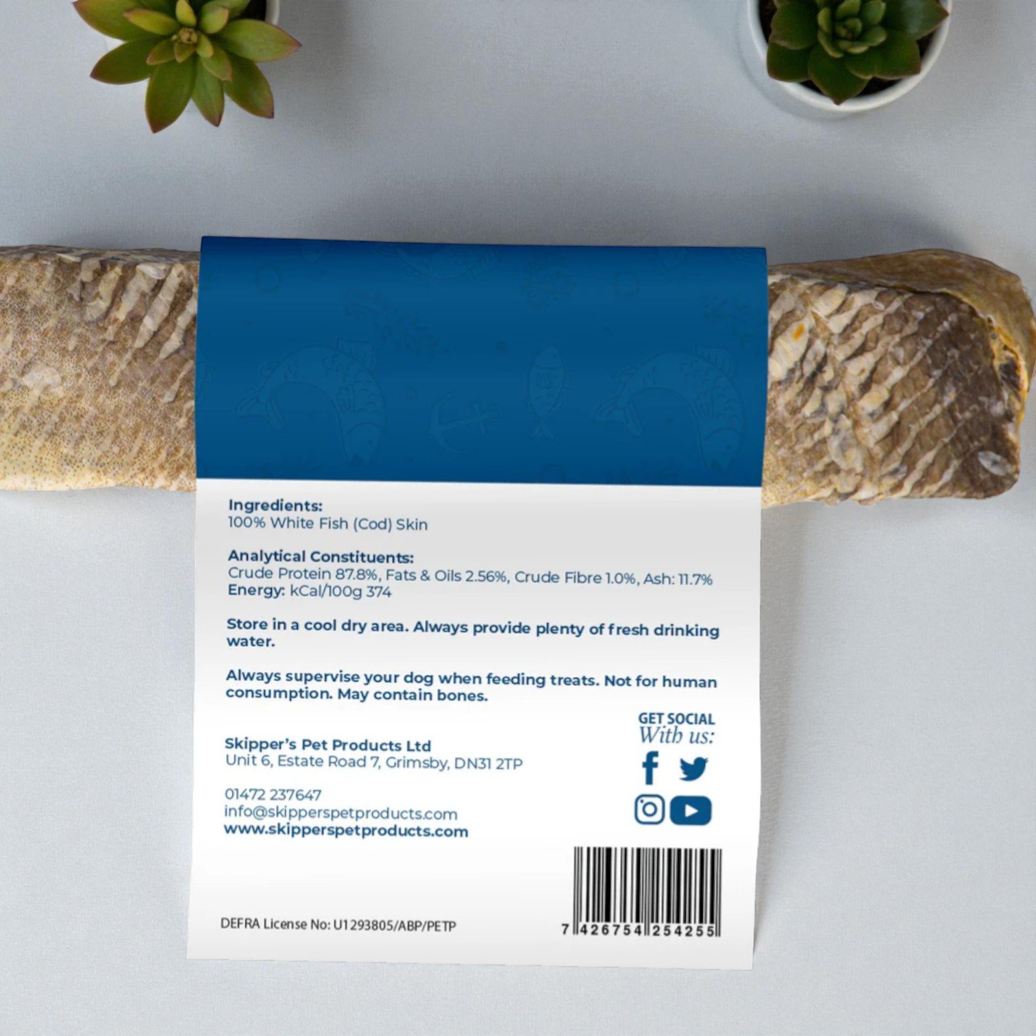 Jumbo Toothbrush 1.jpg