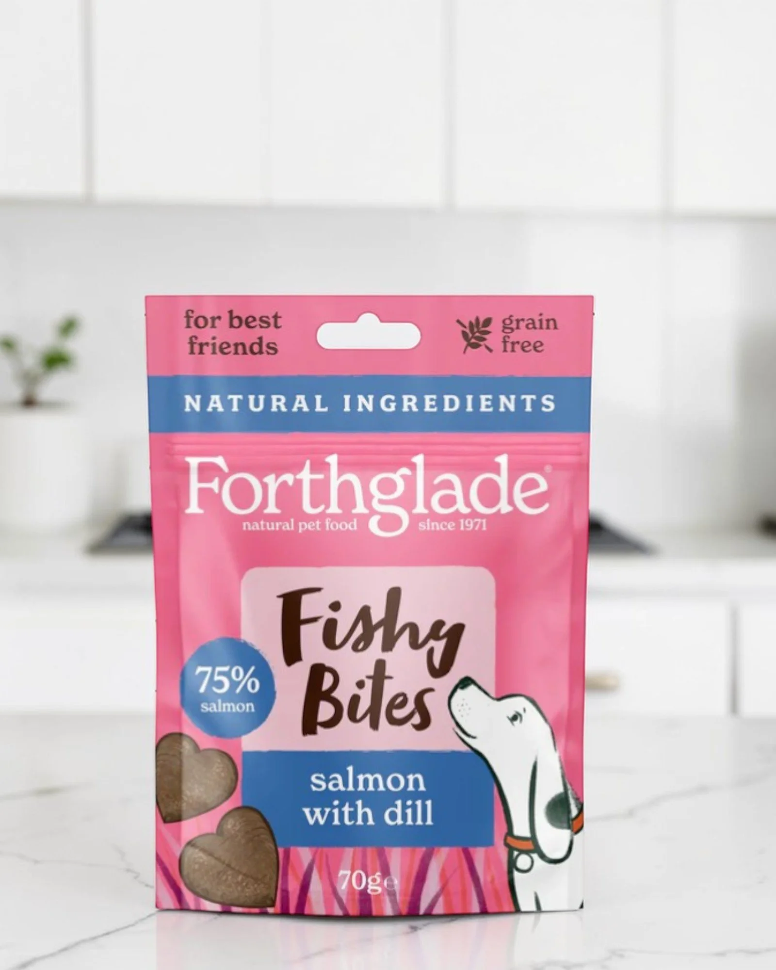 salmon with dill soft bites.jpg