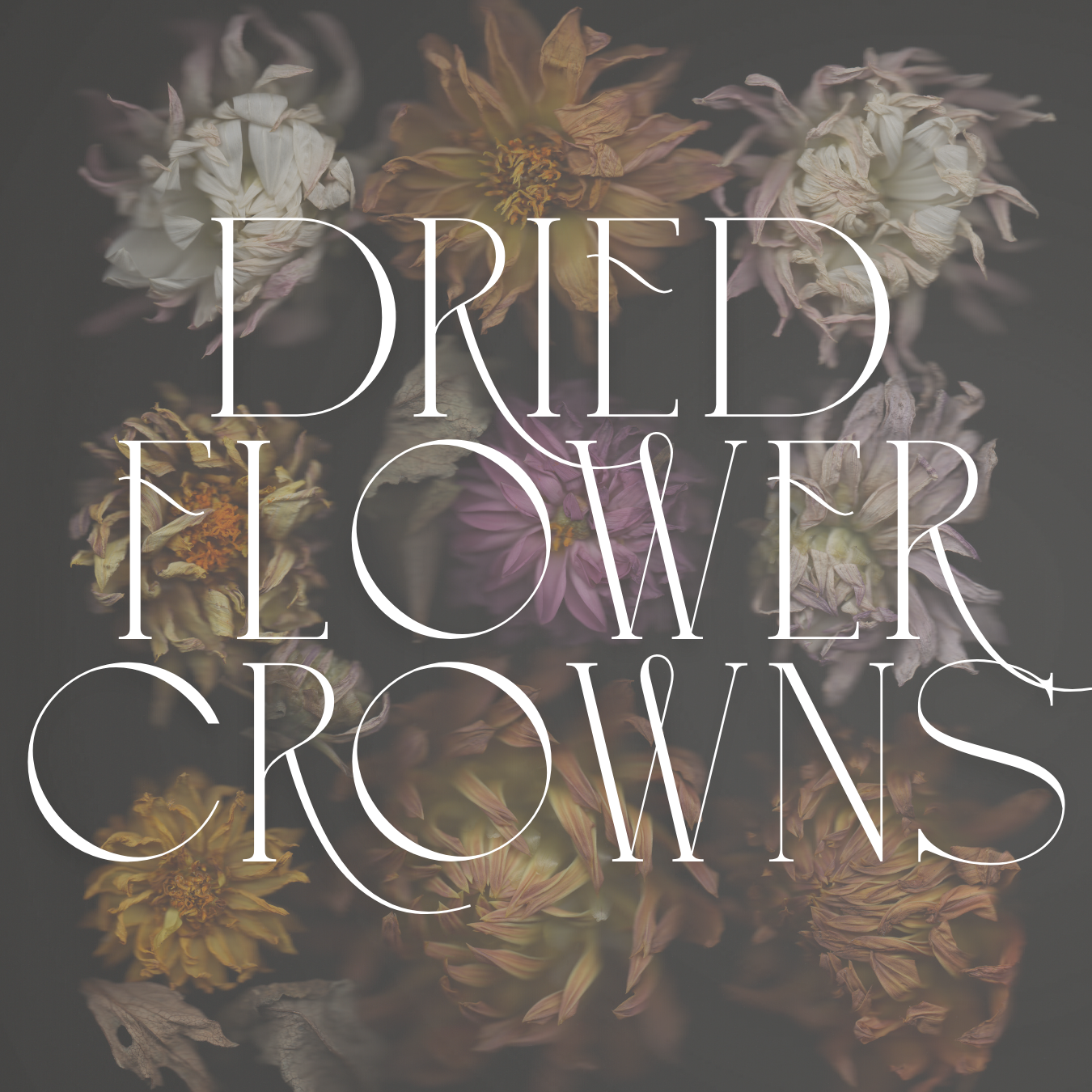 2026-06-21 Solstice Flower Crown Heading.png