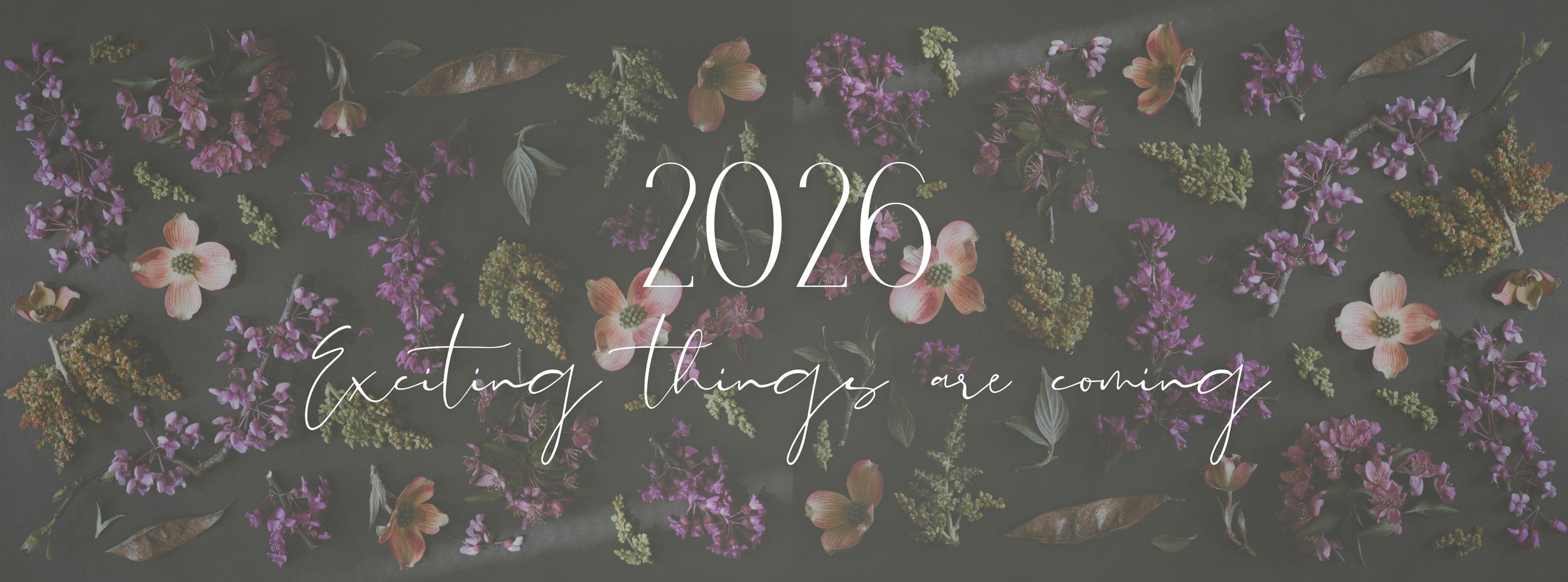 Dark floral background with text reading '2026 Exciting things are coming'